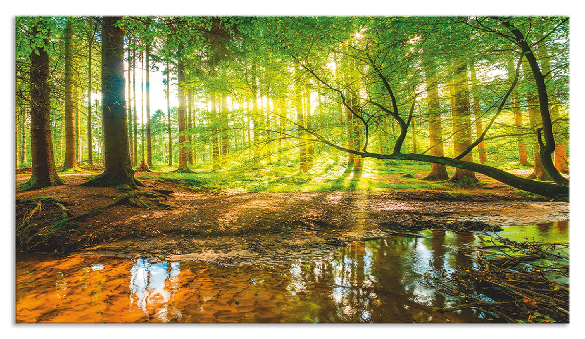 Artland Küchenrückwand »Wald mit Bach«, (1 tlg.), Alu Spritzschutz mit Klebeband, einfache Montage