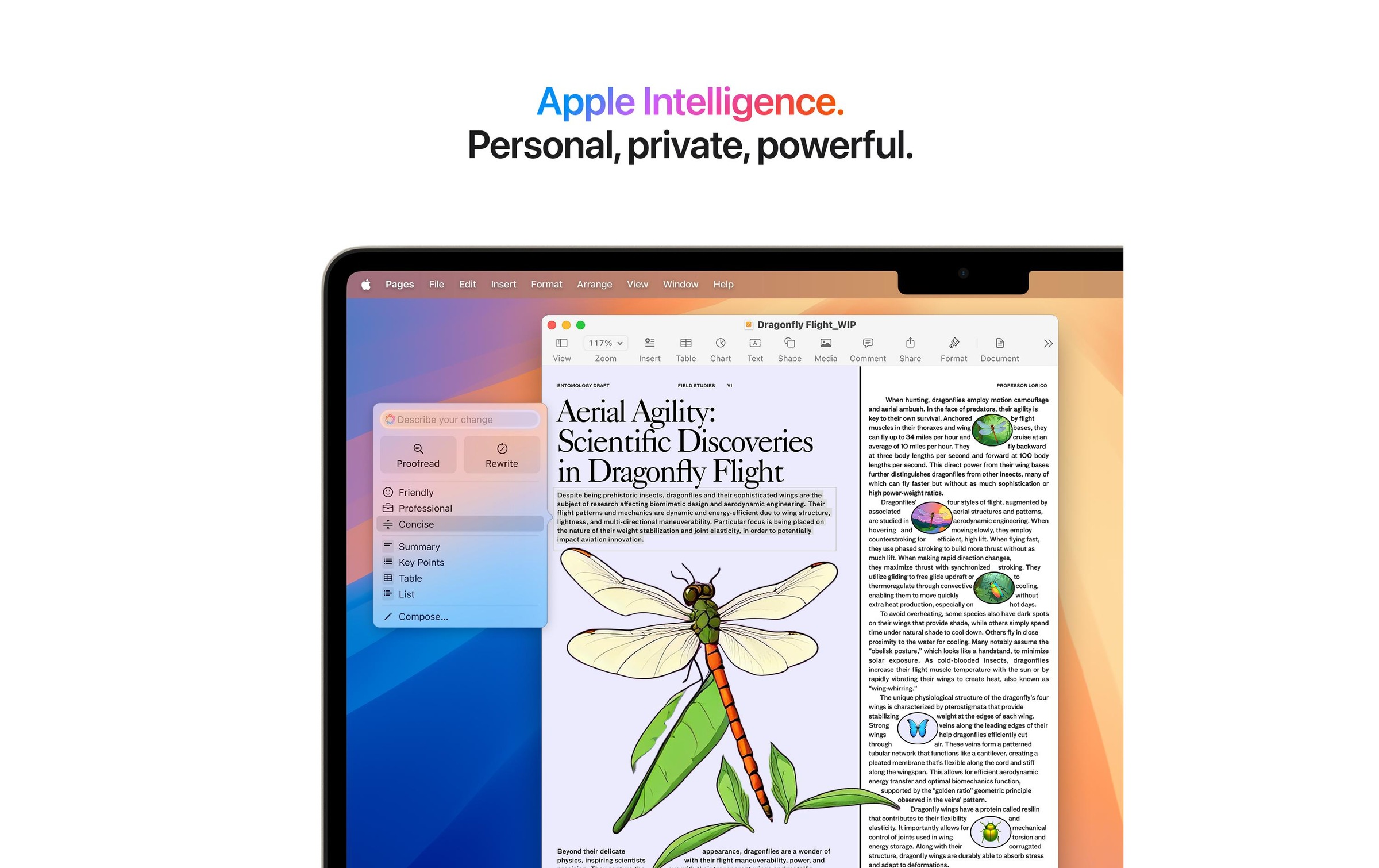 Apple Notebook »Air 15 2025 M4 10C GPU / 16 GB / 256 GB Starlight«