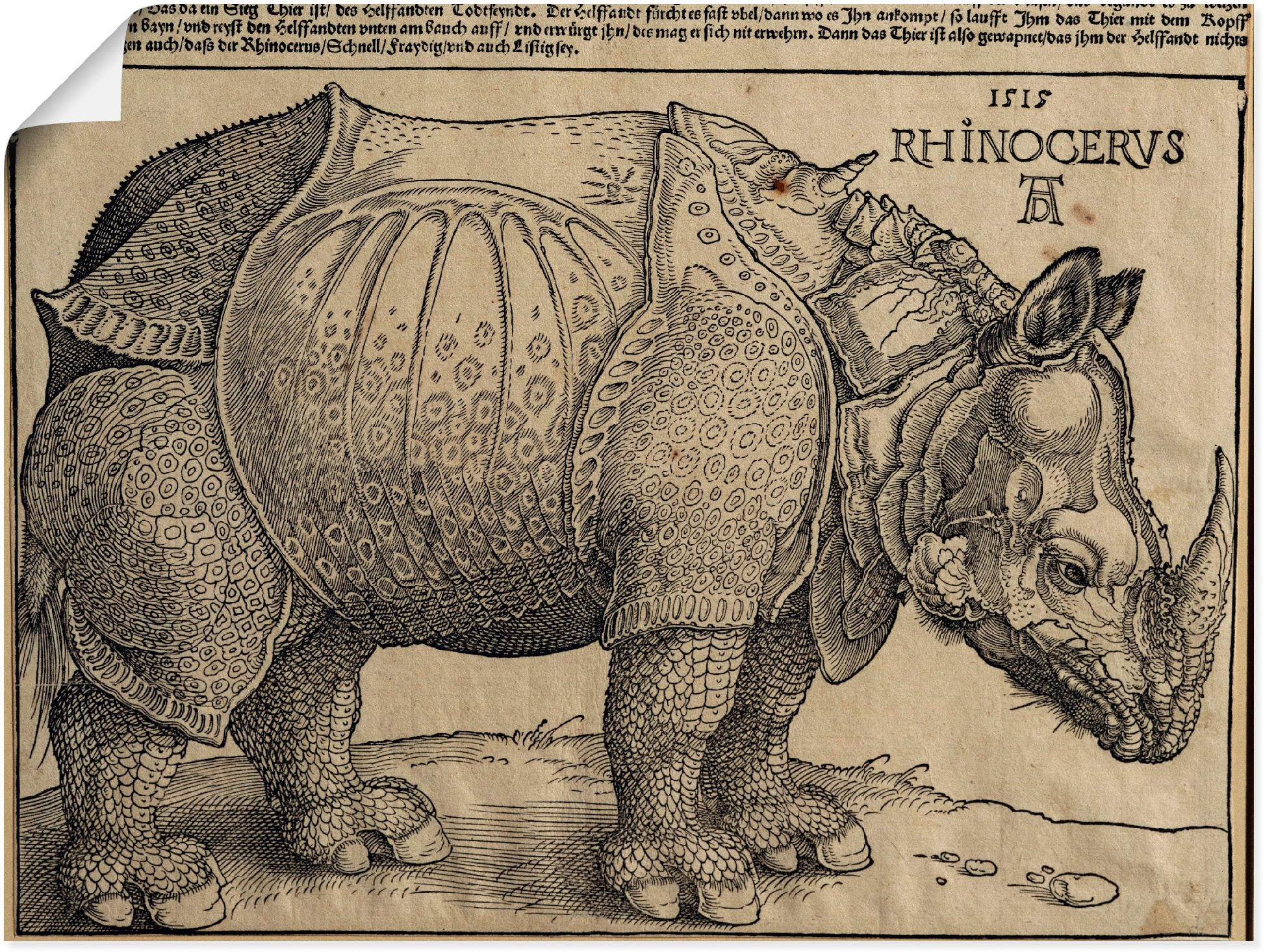 Artland Kunstdruck »Nashorn. 1515. Für König Emanuel.«, Wildtiere, (1 St.), als Leinwandbild, Wandaufkleber oder Poster in versch. Grössen
