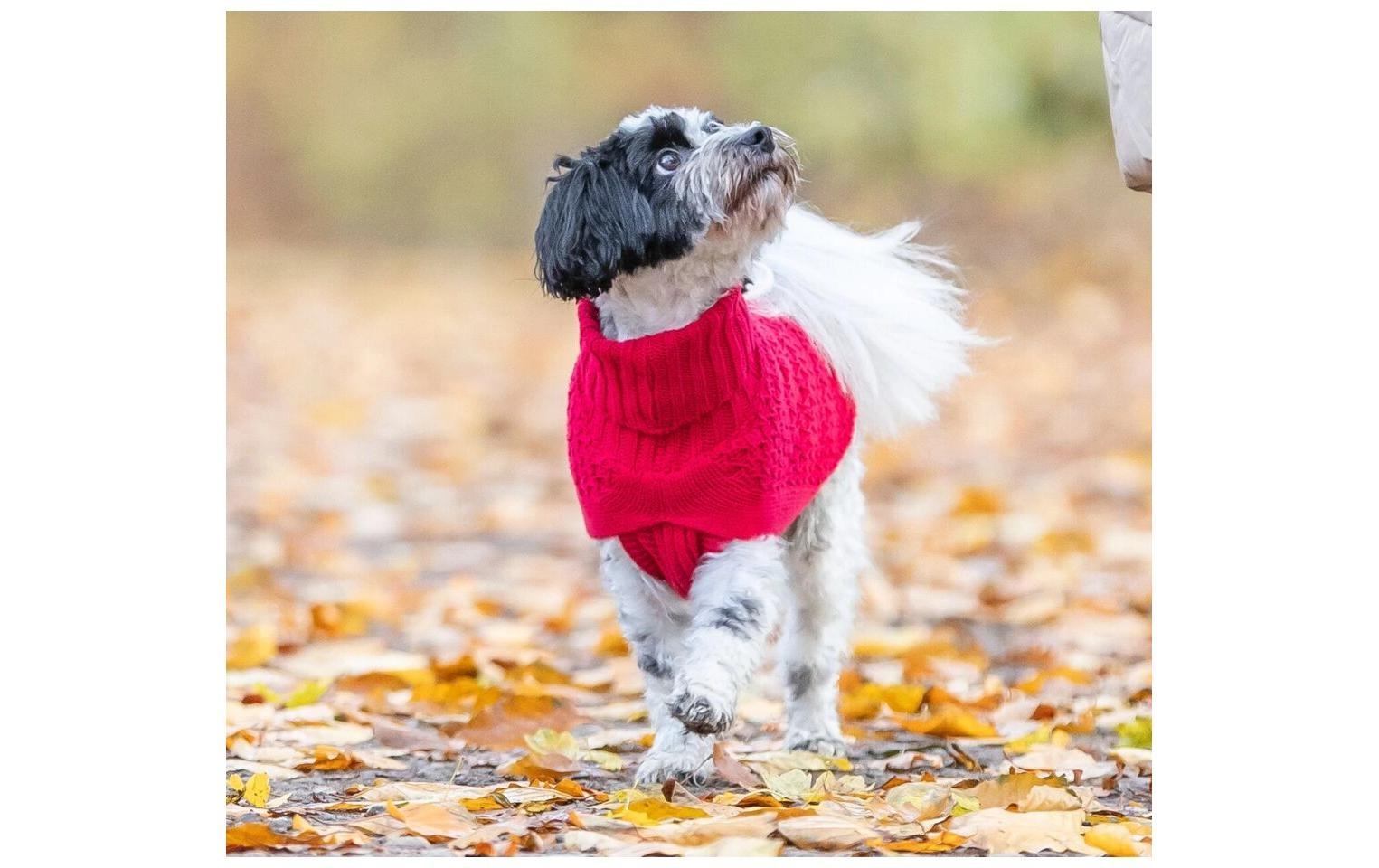 TRIXIE Tierpullover »Norwood S, 40 cm«