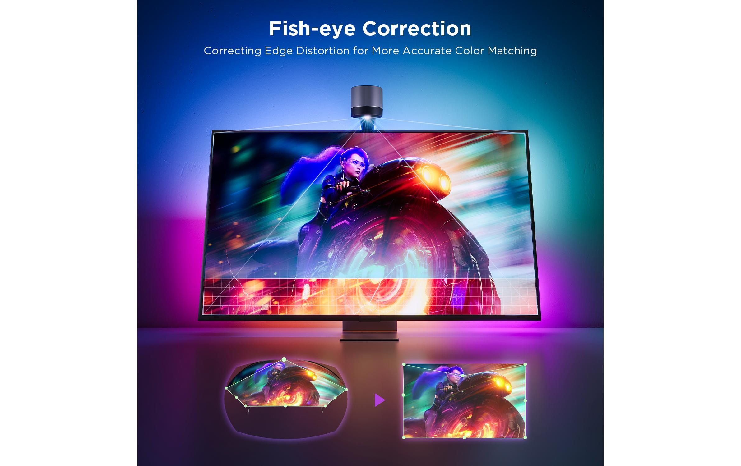 Govee LED Lichtleiste »Govee 3S Netflix Version, RGBICW, 55-65«