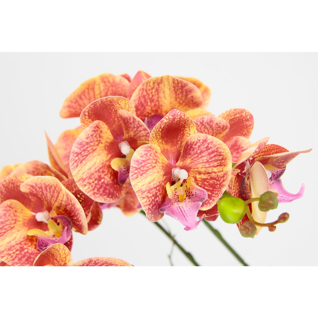 I.GE.A. Kunstblume »Orchidee«