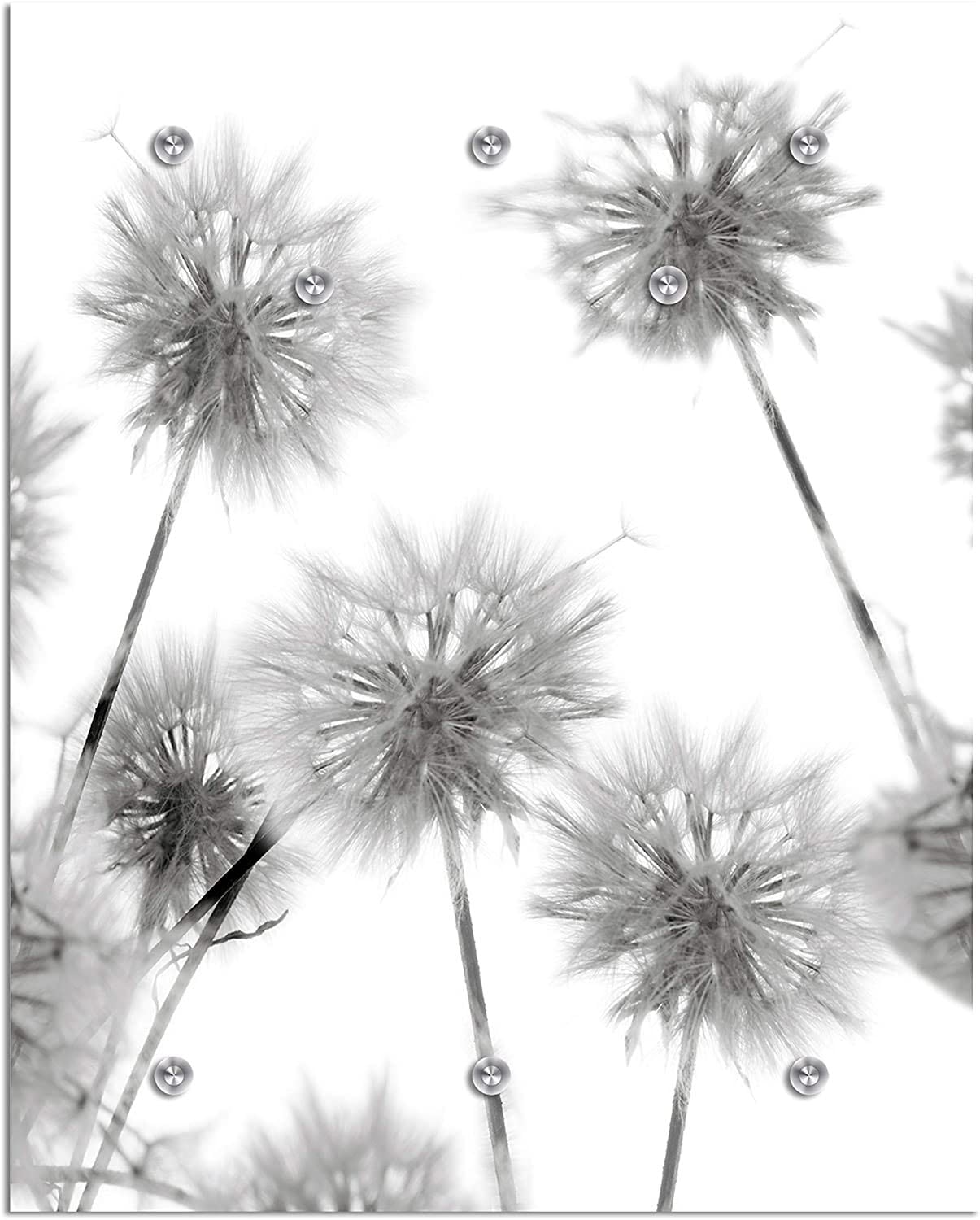 queence Garderobenleiste »Alamea«, Pusteblume, schwarz, weiss, Garderobe