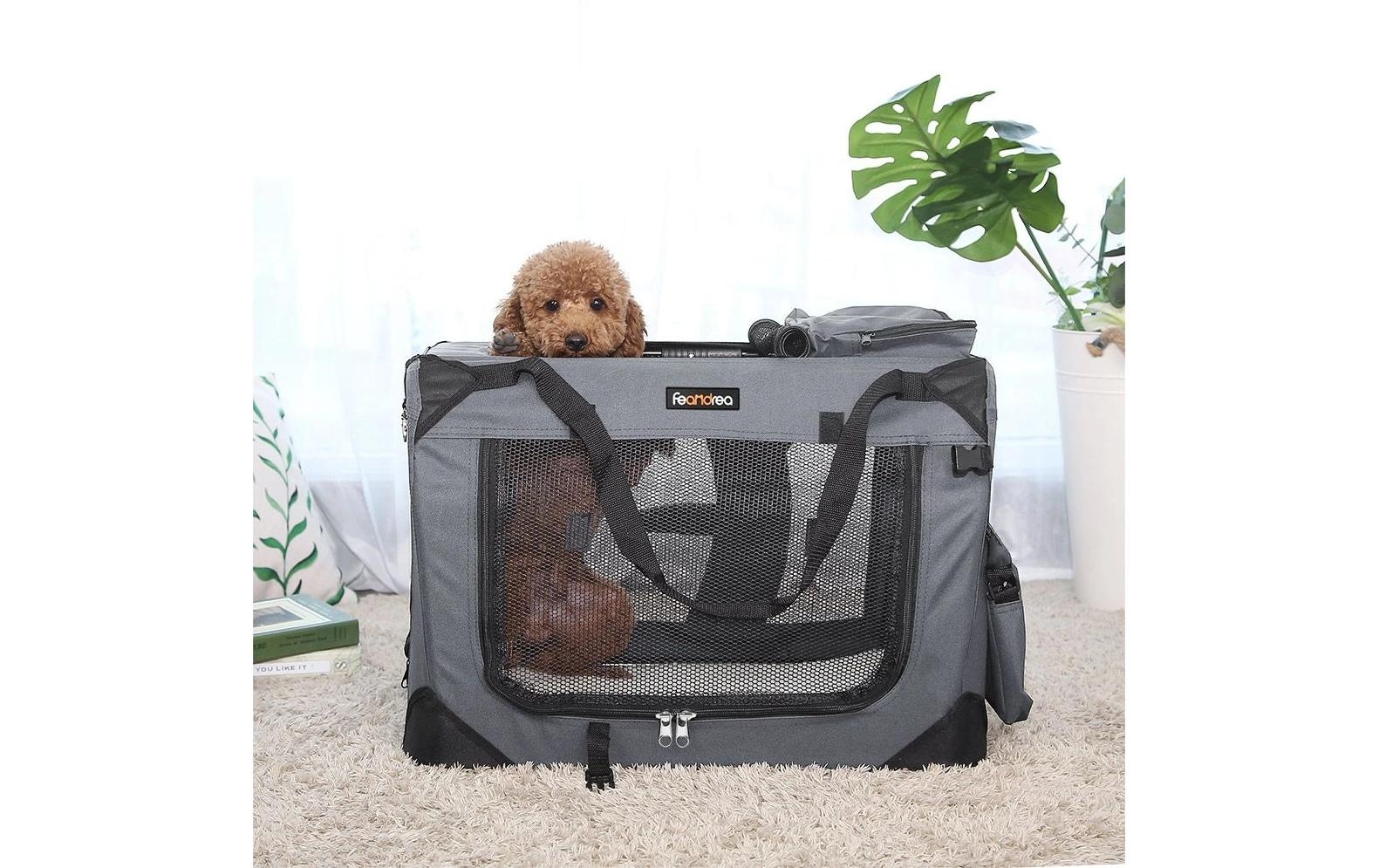FEANDREA Tiertransportbox »für Hunde & Katzen S«, bis 11 kg