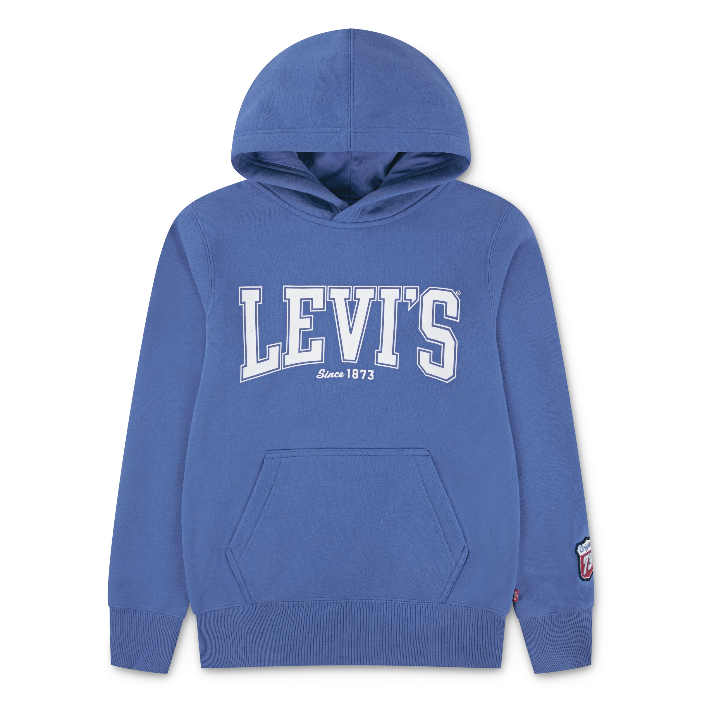 Levi's® Kids Kapuzensweatshirt »LVB THE GREAT HIGHWAY HOOD«, mit kleinem Ärmelbadge