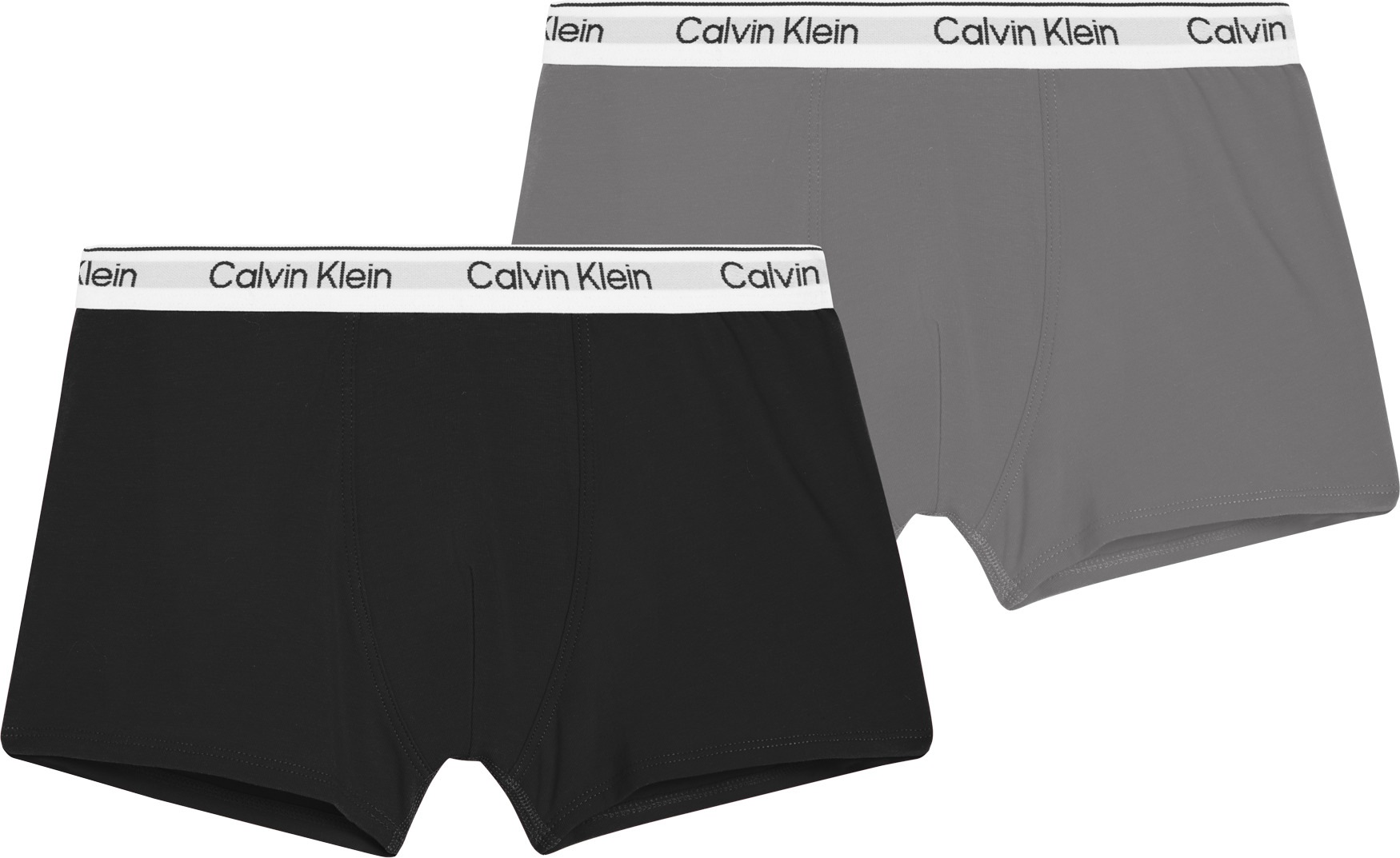 Calvin Klein Underwear Trunk »2PK TRUNK« Packung, 2er-Pack, 2 Stk. mit Logobund
