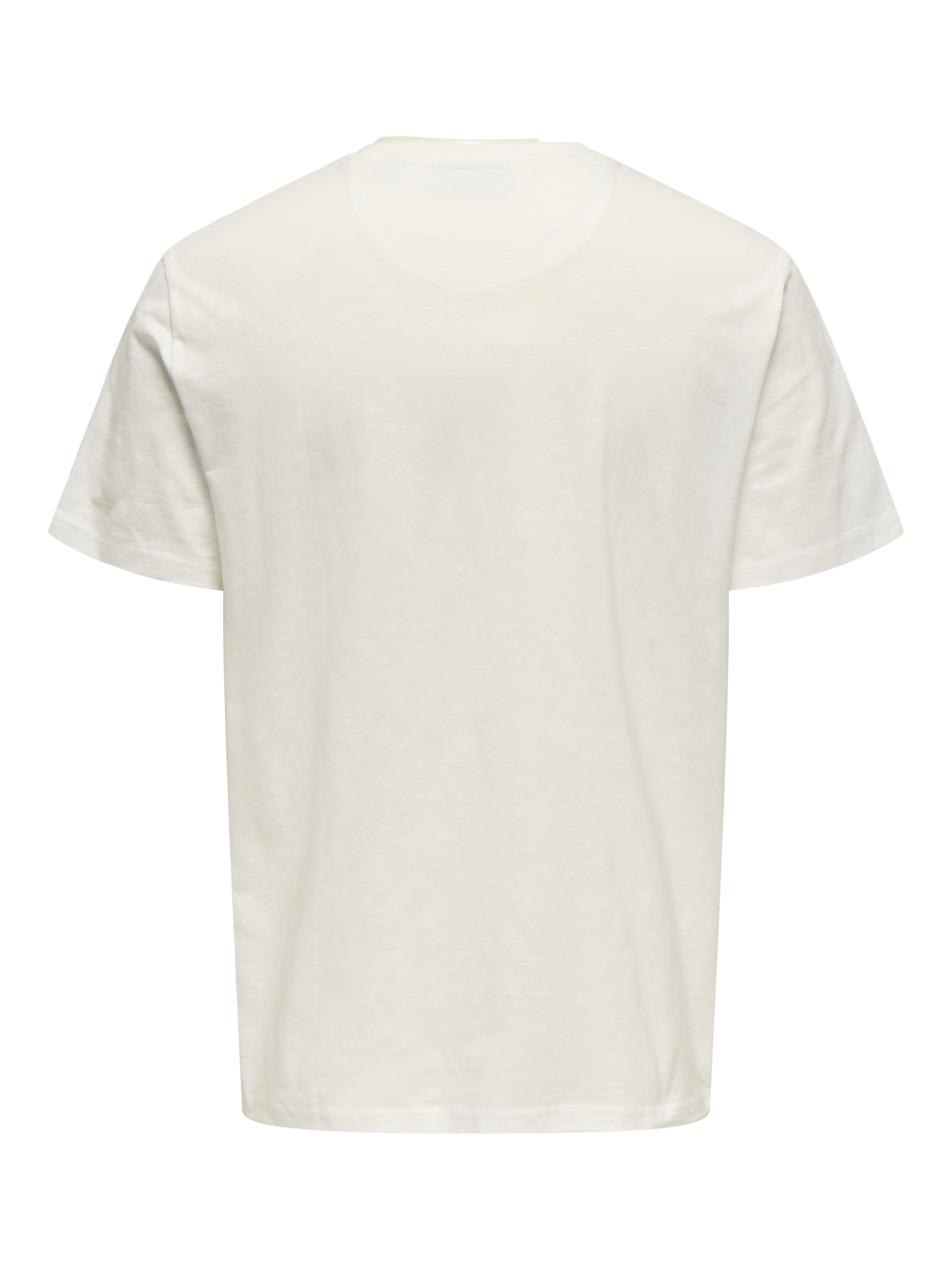 ONLY & SONS Rundhalsshirt »ONSPERRY LIFE REG LEAF POCKETTEE«