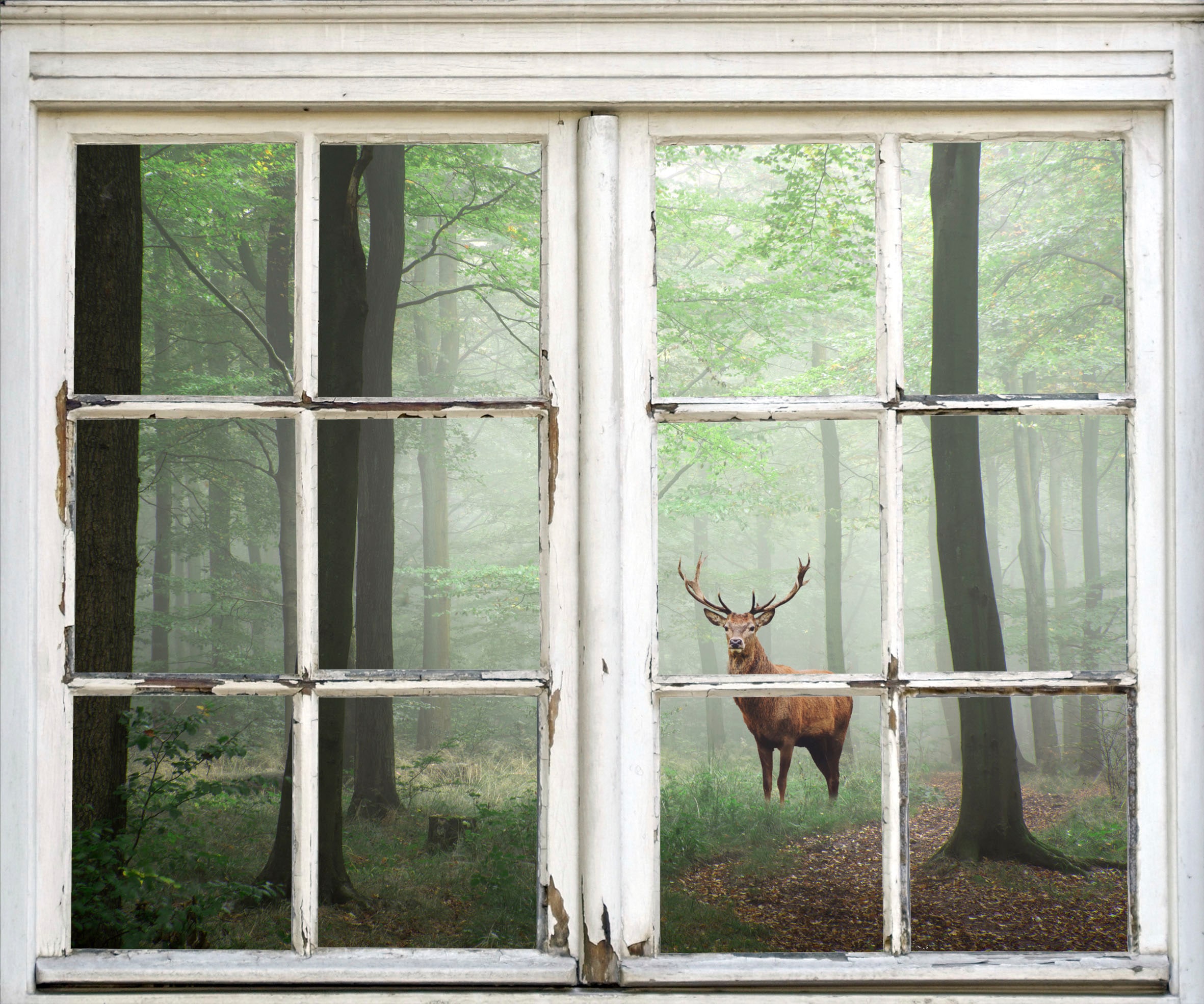 Wandsticker »Hirsch im Wald«, Wandsticker, Wandbild, selbstklebend, 3D, Fenster