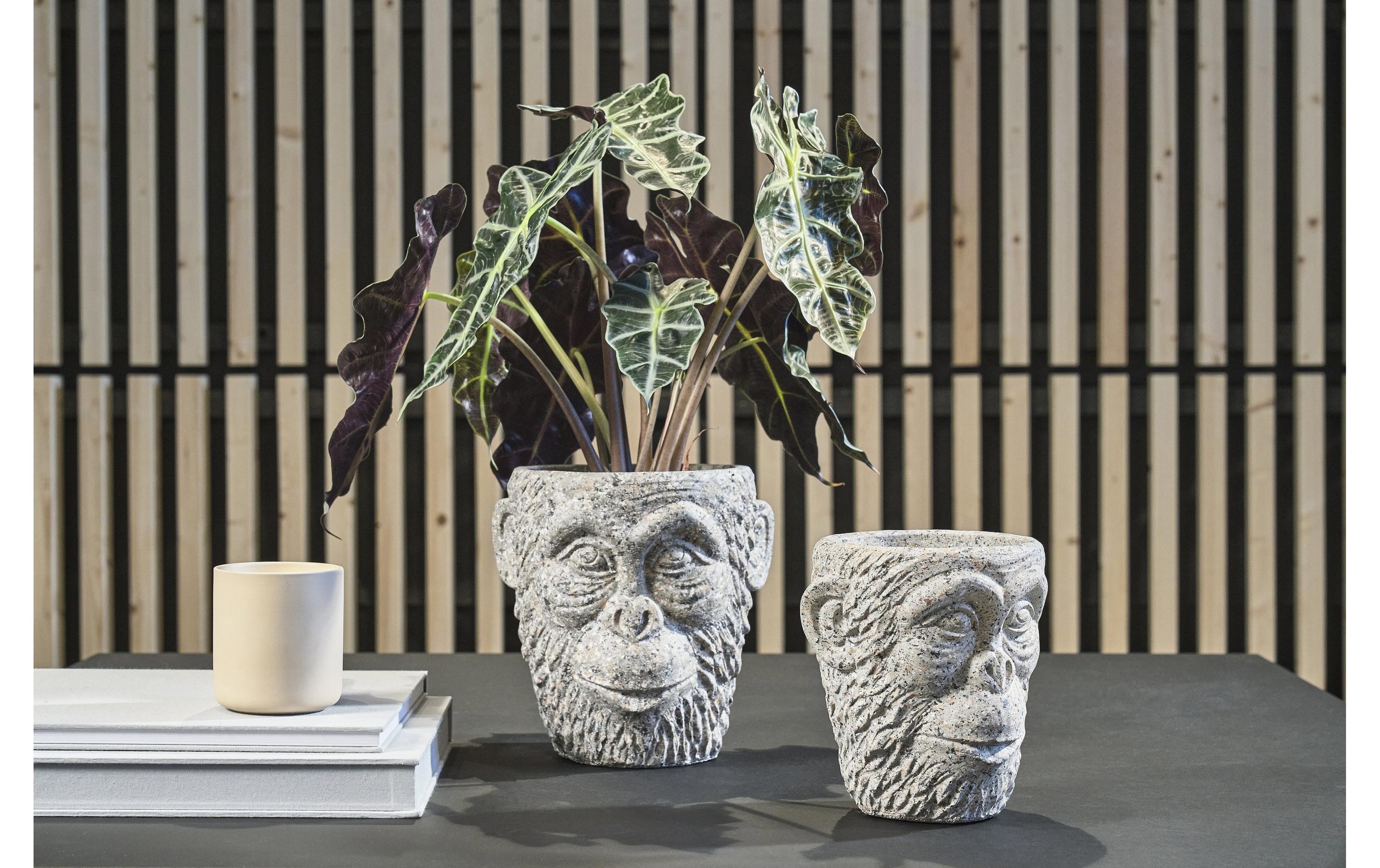 Villa Collection Denmark Blumentopf »Blumentopf Gorilla«