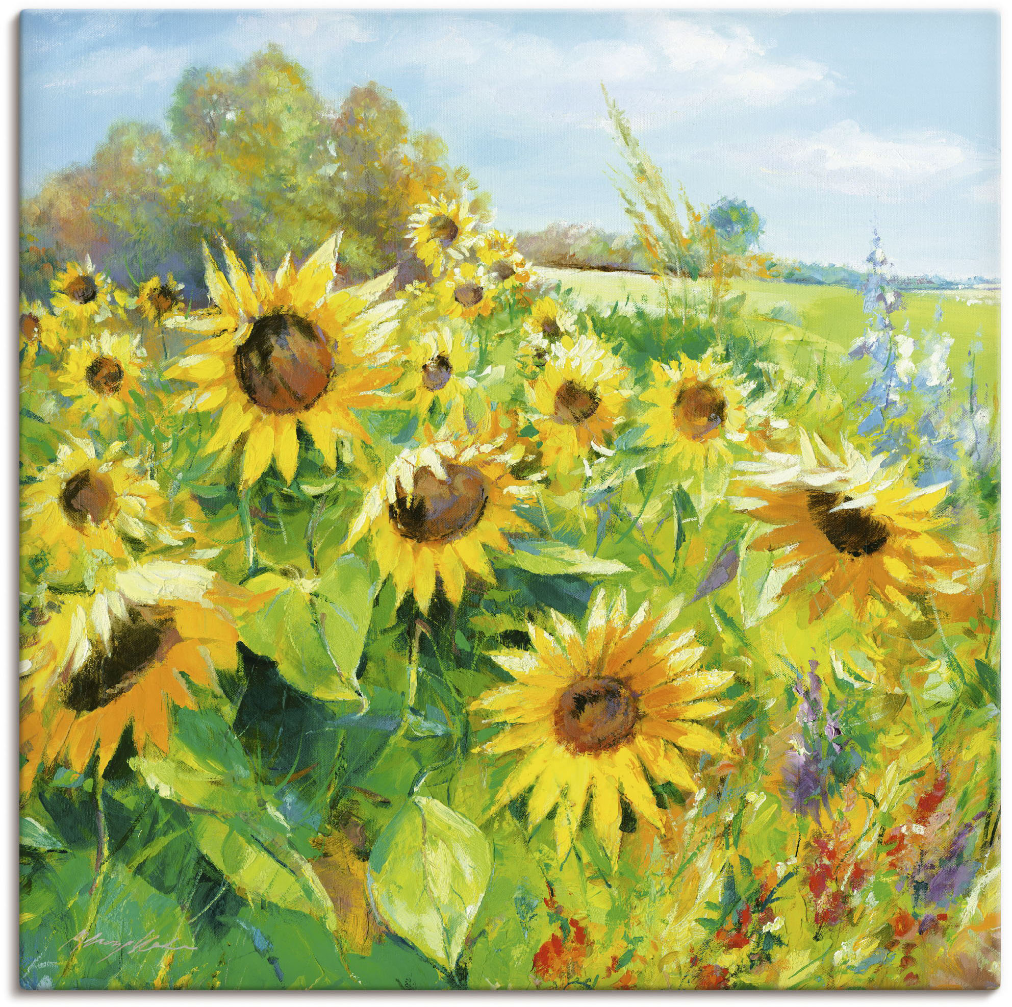 Artland Wandbild "Sommerwiese mit Sonnenblumen" Blumenwiese 1 Stk. tlg. als Leinwandbild, Poster in verschied. Grössen