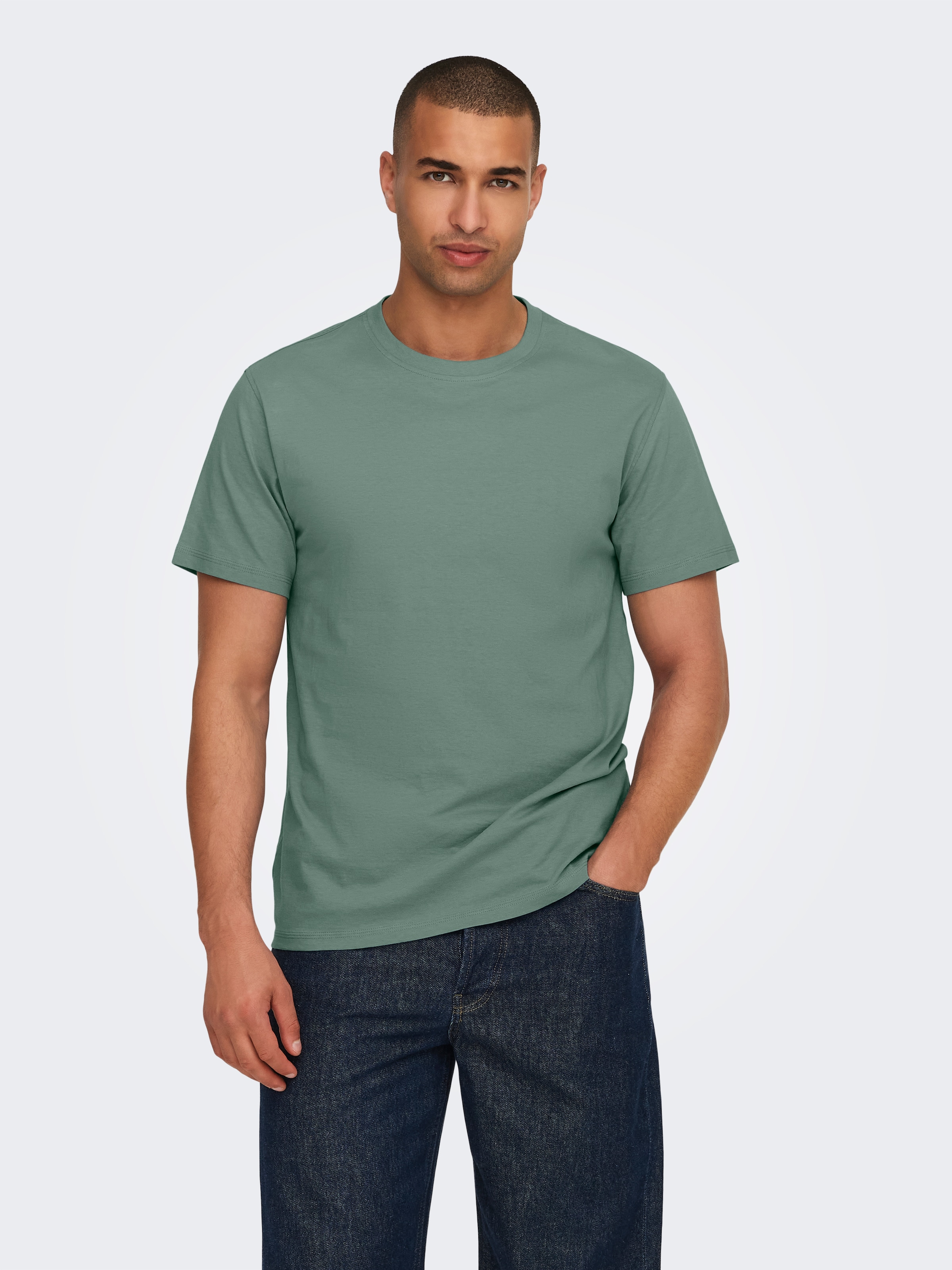 ONLY & SONS Rundhalsshirt »ONSMAX LIFE REG SS STITCH TEE«
