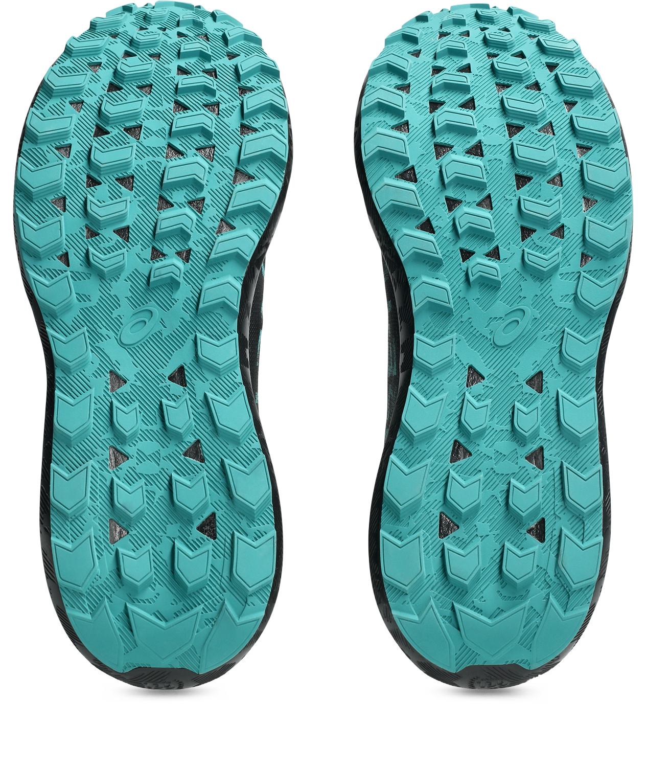 Asics Trailrunningschuh »GEL-SONOMA 8 GORE-TEX«, wasserdicht