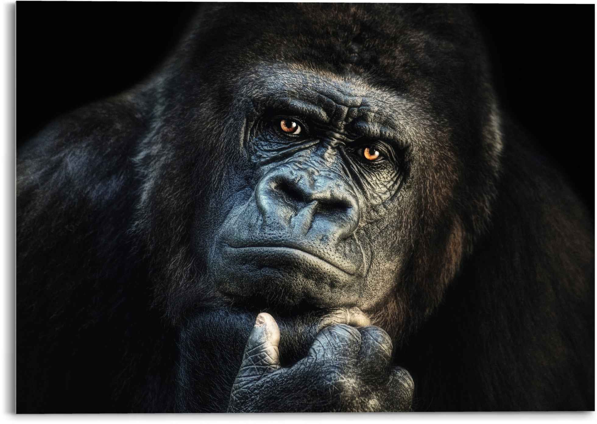 St.) (1 - Kräftig ❤ Gorilla Affen, »Glasbild Affe Glasbild Jelmoli-Online Reinders! Shop - im kaufen Nachdenklich«,