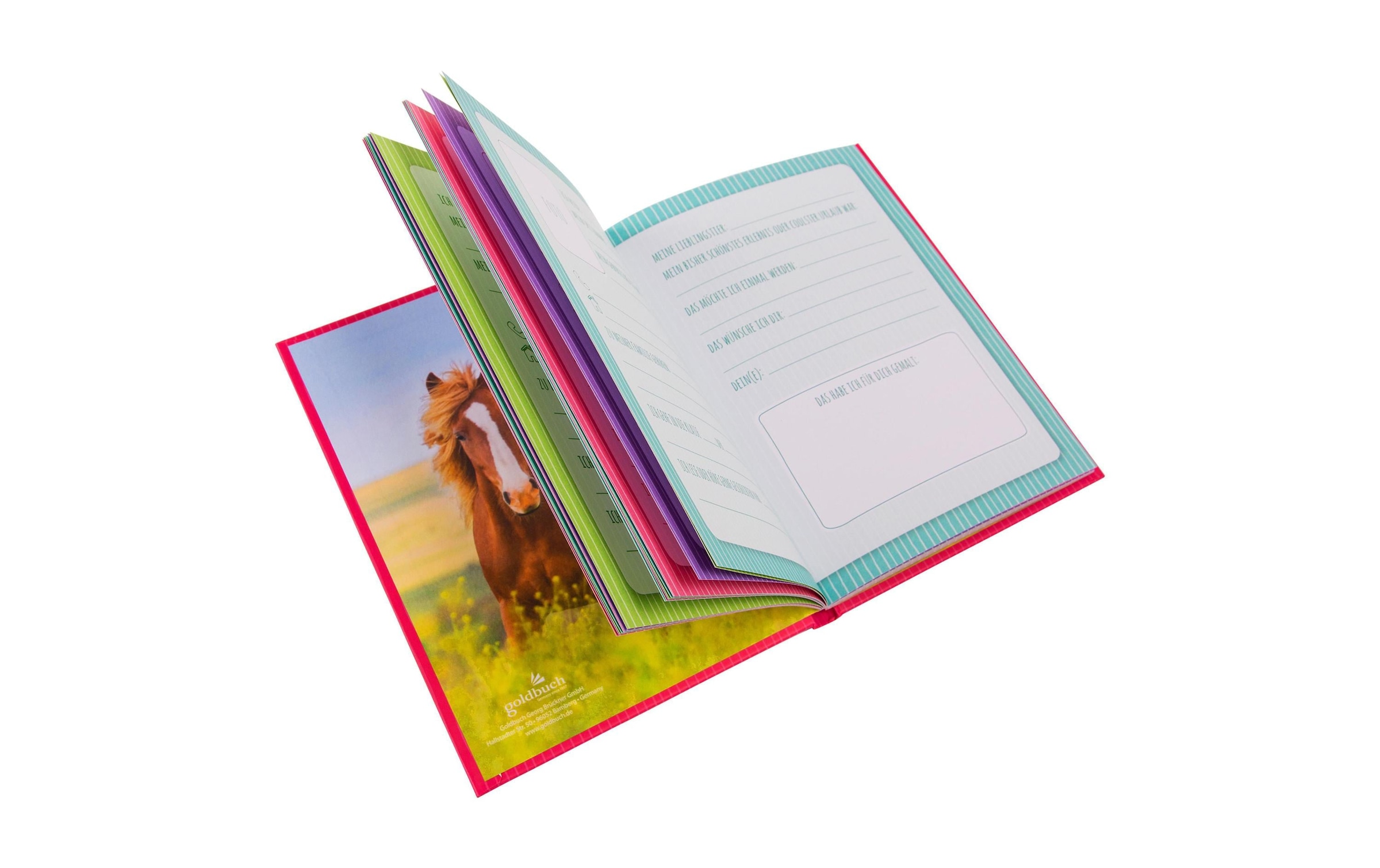 Goldfarbenbuch Poesiealbum »Freundebuch Pferdeliebe«