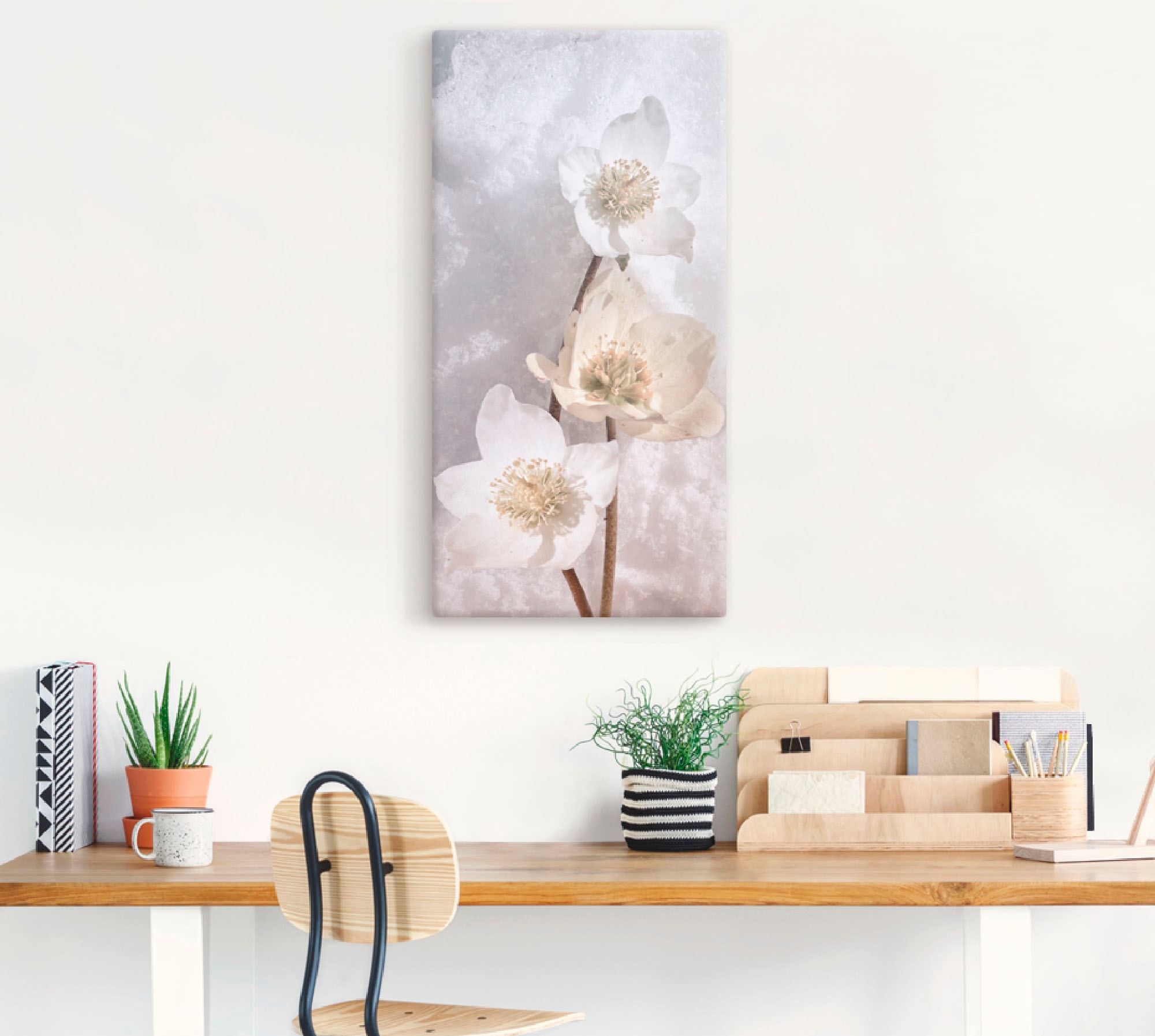 Artland Wandbild »Christrose im Schnee«, Blumen, (1 St.), als Leinwandbild, Poster in verschied. Grössen