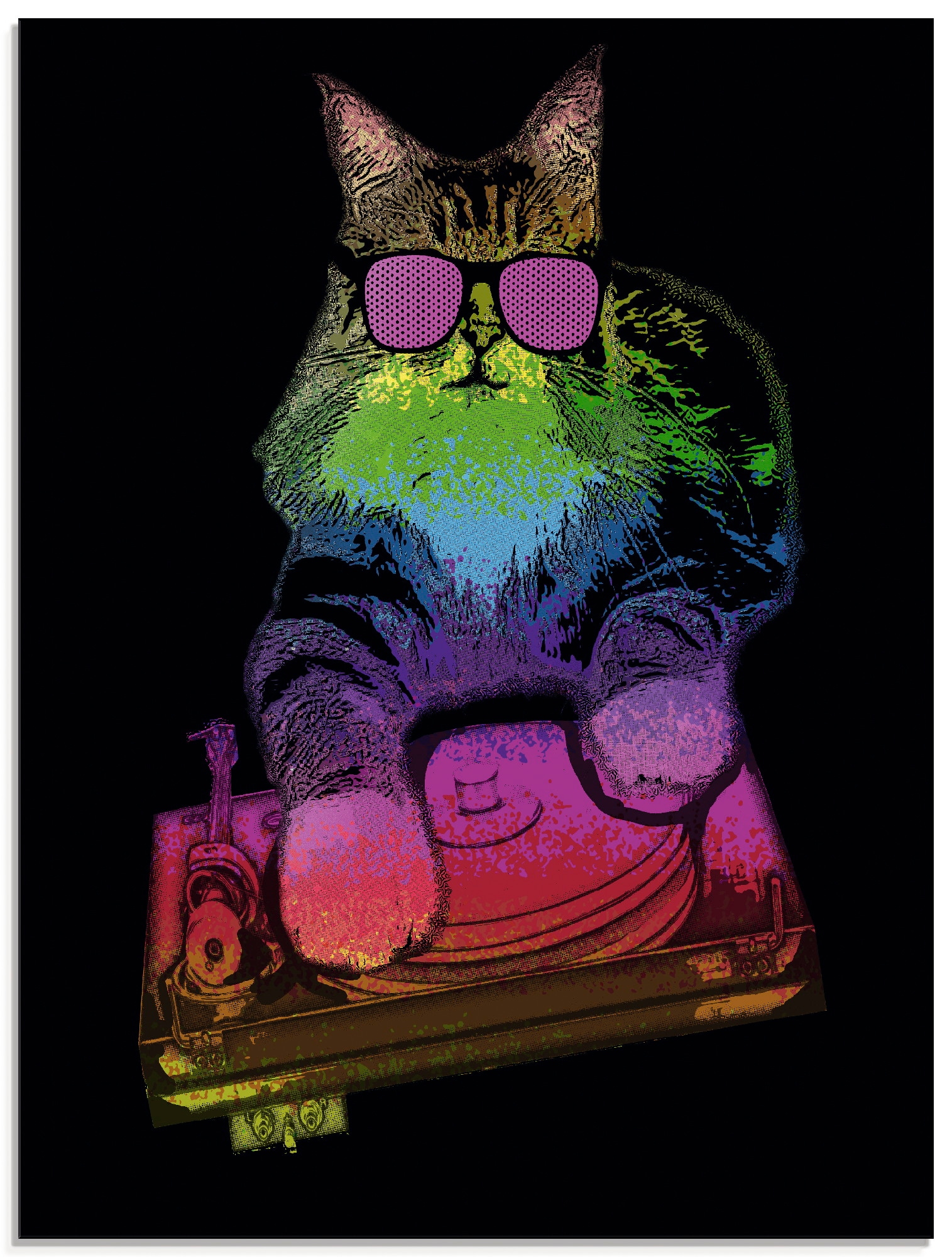 Artland Glasbild »Witzige DJ Katze Party Musik«, Humor, (1 St.), in  verschiedenen Grössen online bestellen | Jelmoli-Versand