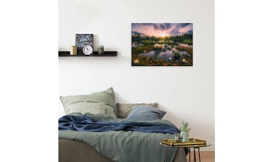 Ambiente Haus Leinwandbild »Lavendel Bild 50cm«, (1 St.) online kaufen |  Jelmoli-Versand