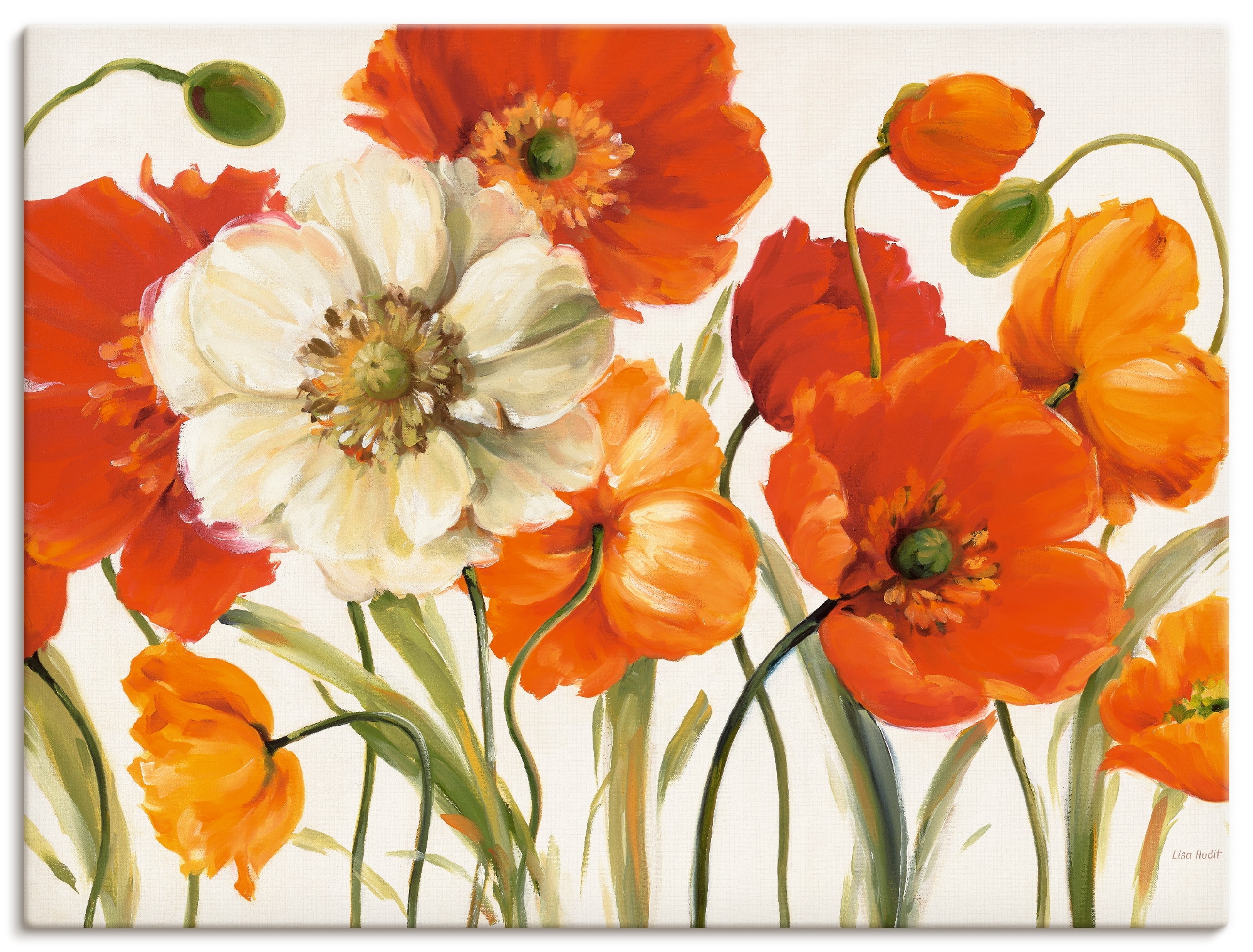 Grössen shoppen (1 oder versch. Leinwandbild, Jelmoli-Versand | »Mohnblumen Blumen, Wandbild in I«, Wandaufkleber Poster Artland St.), als online