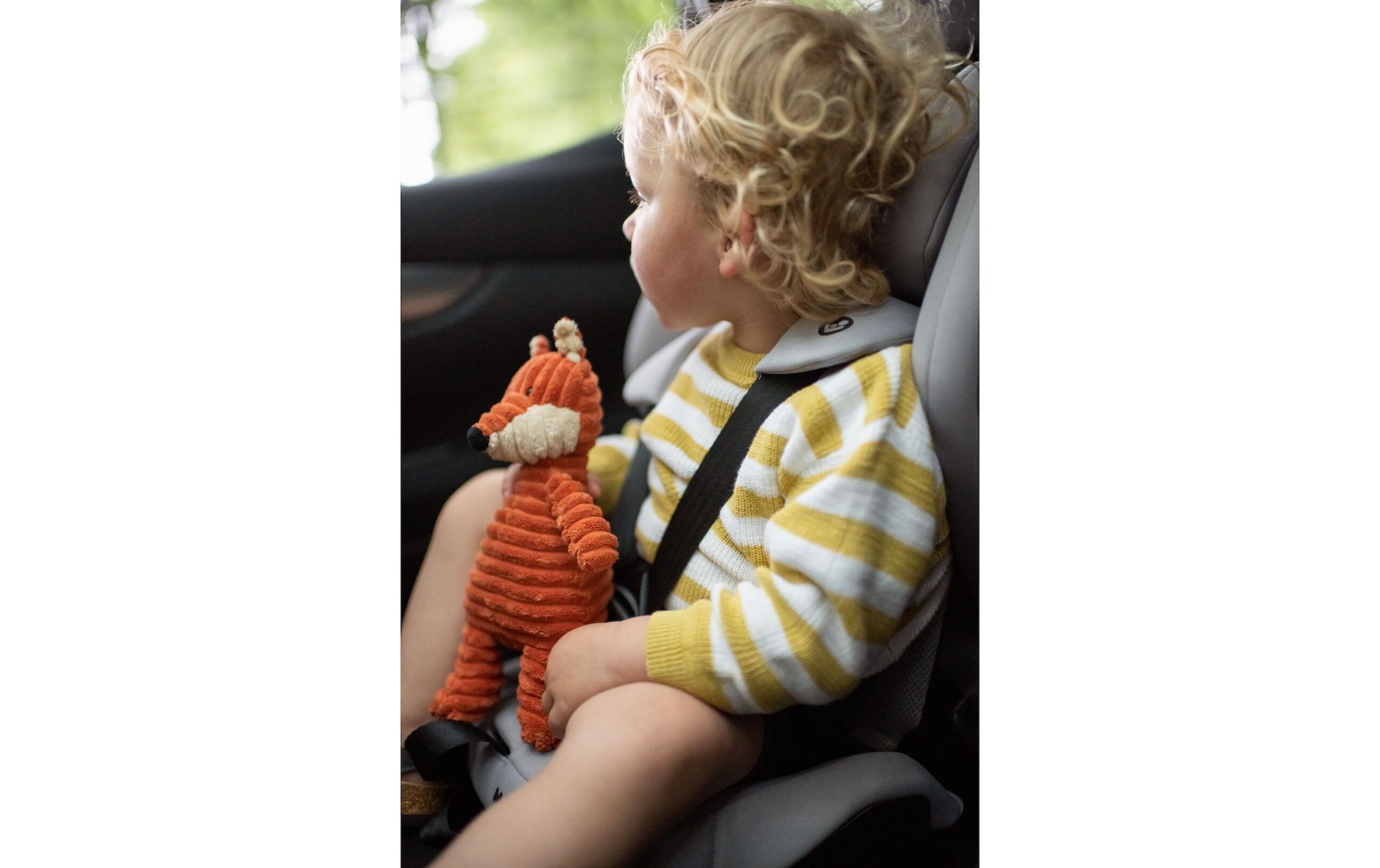 Maxi-Cosi Autokindersitz »Maxi-Cosi Kindersitz Nomad«