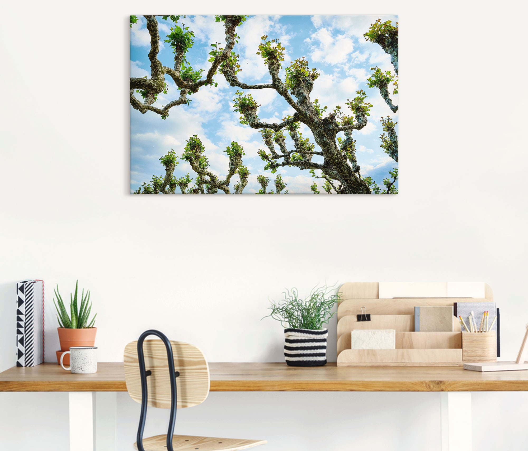 Poster | Wandaufkleber Alubild, als Baumbilder, (1 online Leinwandbild, versch. St.), »Platanen«, Jelmoli-Versand Artland kaufen in Grössen Wandbild oder