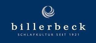 billerbeck Daunenbettdecke »Kinder-Daunen-Duvet, Billerbeck, »Carmen Puntina Light««, leicht, Füllung 90% neue, reine Gänsedaunen, weiss, 10% Federchen, VSB-Norm, Bezug 100% Baumwolle, Öko-Text Standard 100, (1 St.)