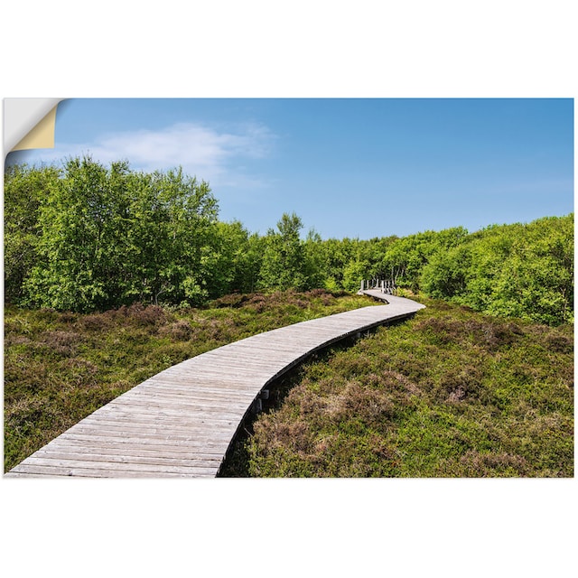 Artland Wandbild »Dünen bei Norddorf auf der Insel Amrum«, Wiesen &  Baumbilder, (1 St.), als Alubild, Leinwandbild, Wandaufkleber oder Poster  in versch. Grössen online bestellen | Jelmoli-Versand