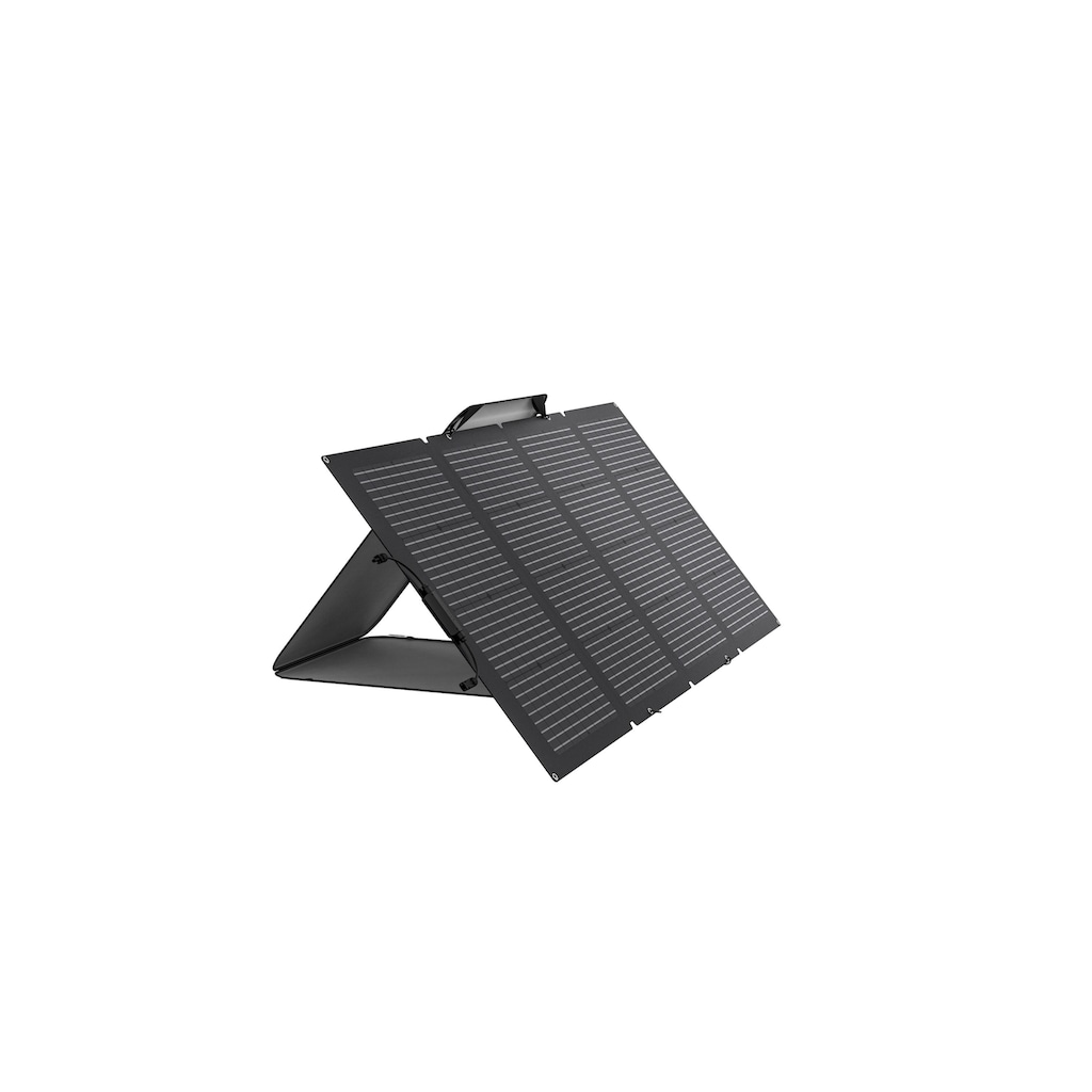 Ecoflow Solarmodul »faltbar, MC4, Schwarz 220 W«