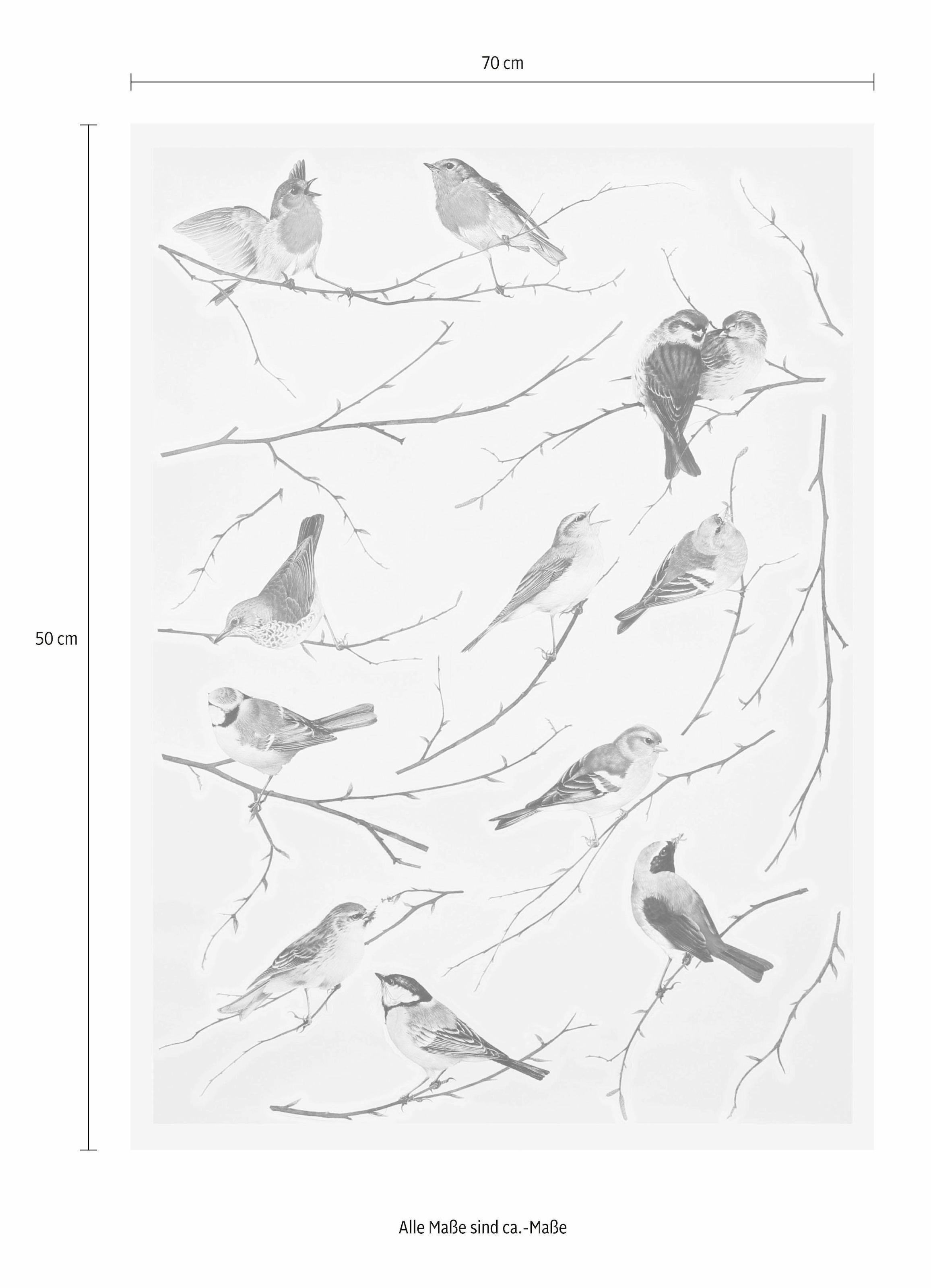 ❤ Komar Wandtattoo »Vogerl«, 50x70 cm (Breite x Höhe), selbstklebendes  Wandtattoo entdecken im Jelmoli-Online Shop