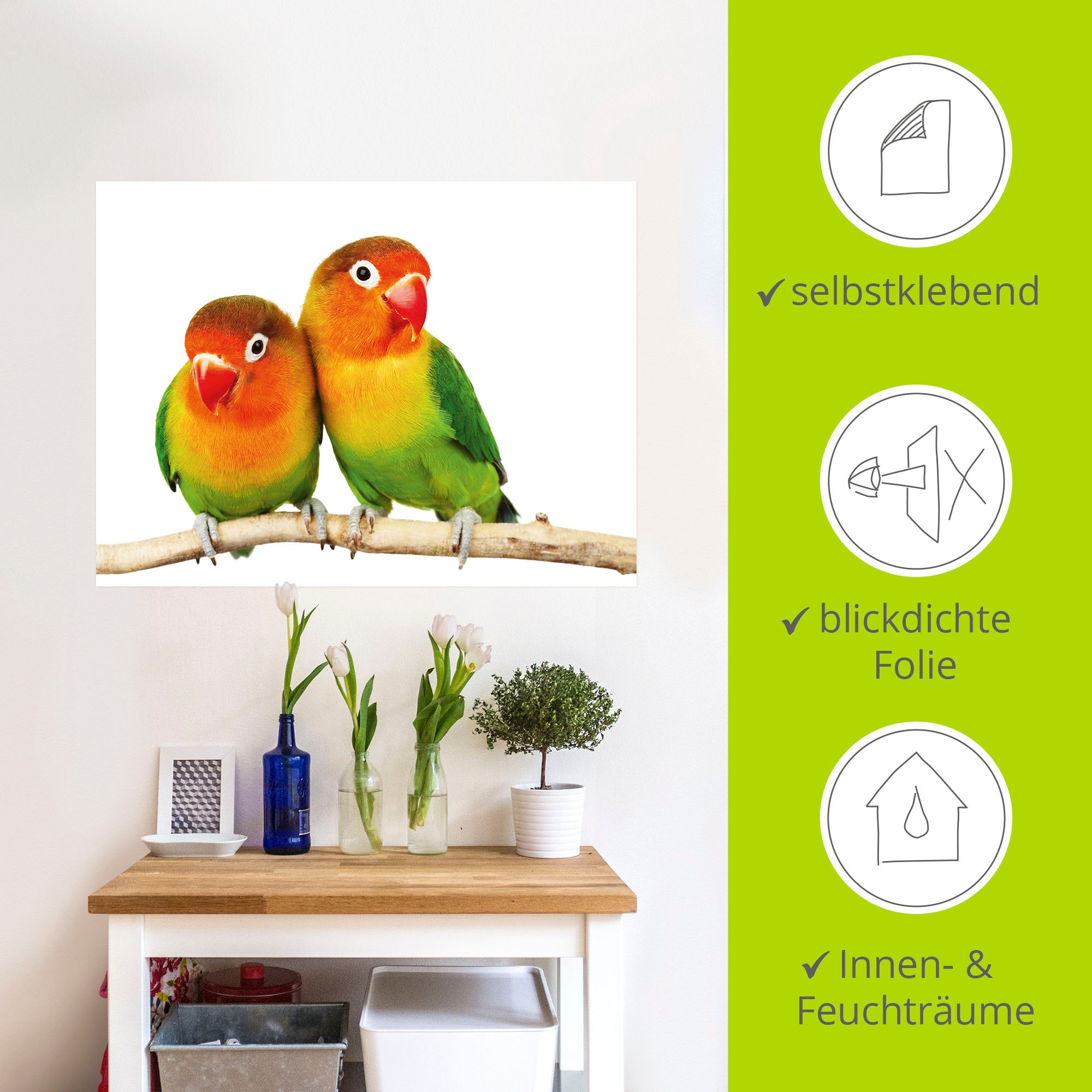 Artland Wandbild »Paar von Grauköpfchen - Papageien«, Vögel, (1 St.), als Leinwandbild, Poster, Wandaufkleber in verschied. Grössen