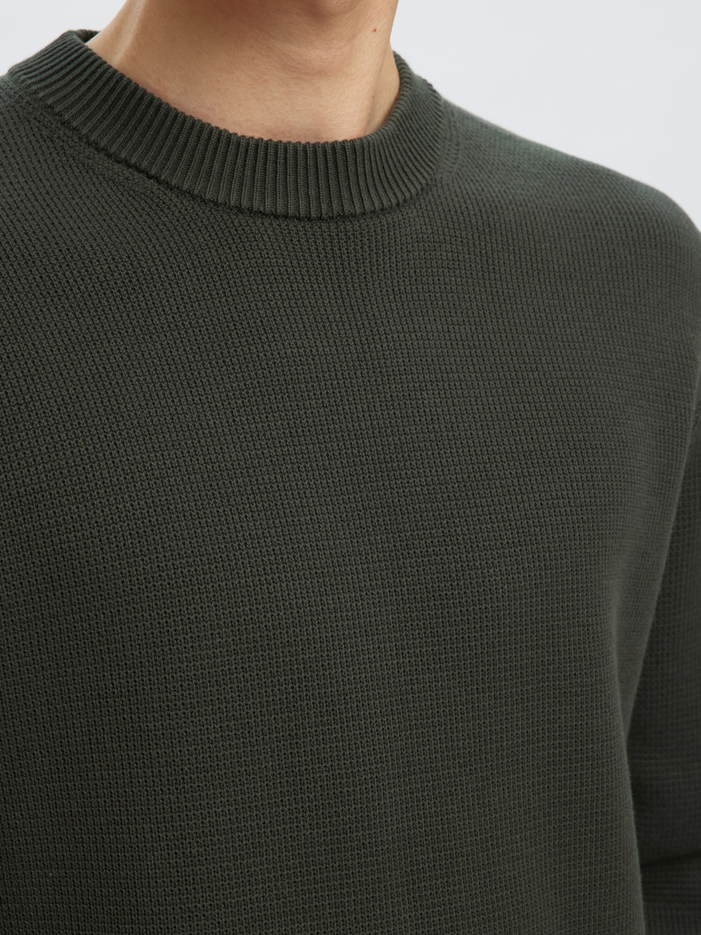SELECTED HOMME Rundhalspullover »SLHDANE LS KNIT STRUCTURE CREW NECK NOOS«