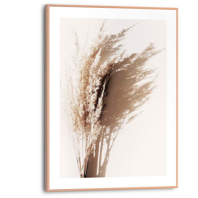 Reinders! Poster »Sonniges Gras« online bestellen | Jelmoli-Versand | Kunstdrucke