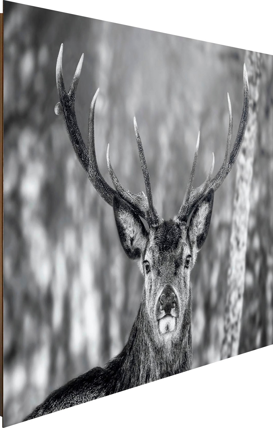 ❤ Reinders! Holzbild Deer« im Panel Jelmoli-Online kaufen 60x90 Winter »Deco Shop