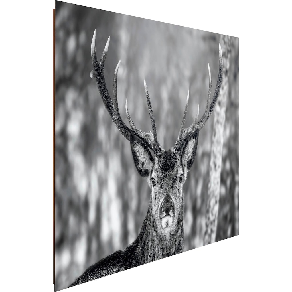 Reinders! Holzbild »Deco Panel 60x90 Winter Deer«
