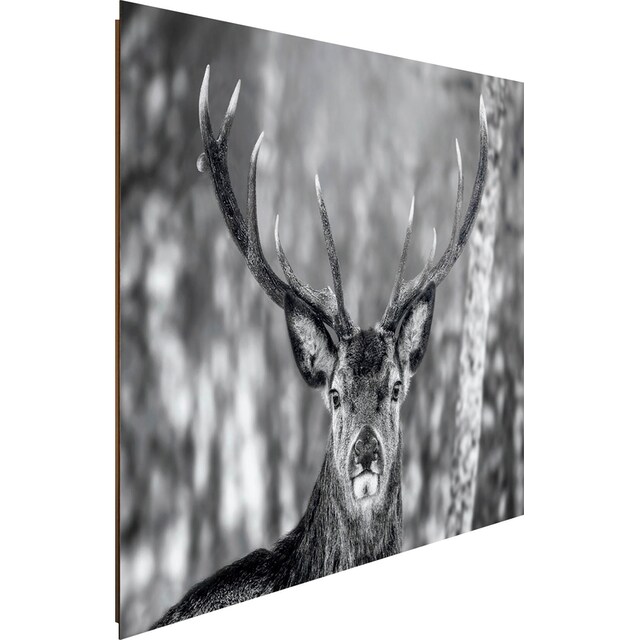 ❤ Reinders! Holzbild »Deco Panel 60x90 Winter Deer« kaufen im  Jelmoli-Online Shop