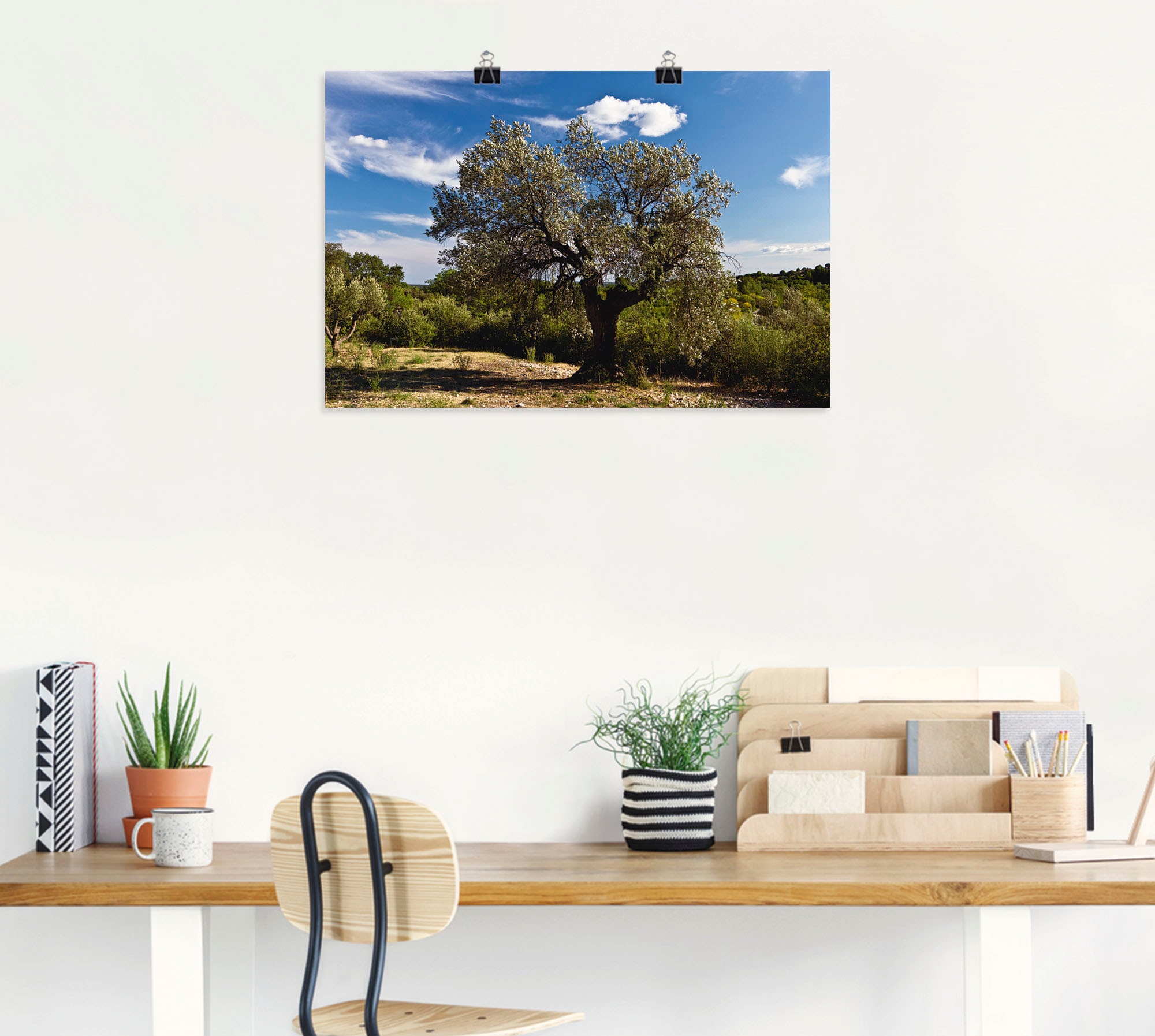 Artland Wandbild »Olivenbaum in Südfrankreich«, Bäume, (1 St.), als Alubild, Outdoorbild, Leinwandbild, Poster in verschied. Grössen