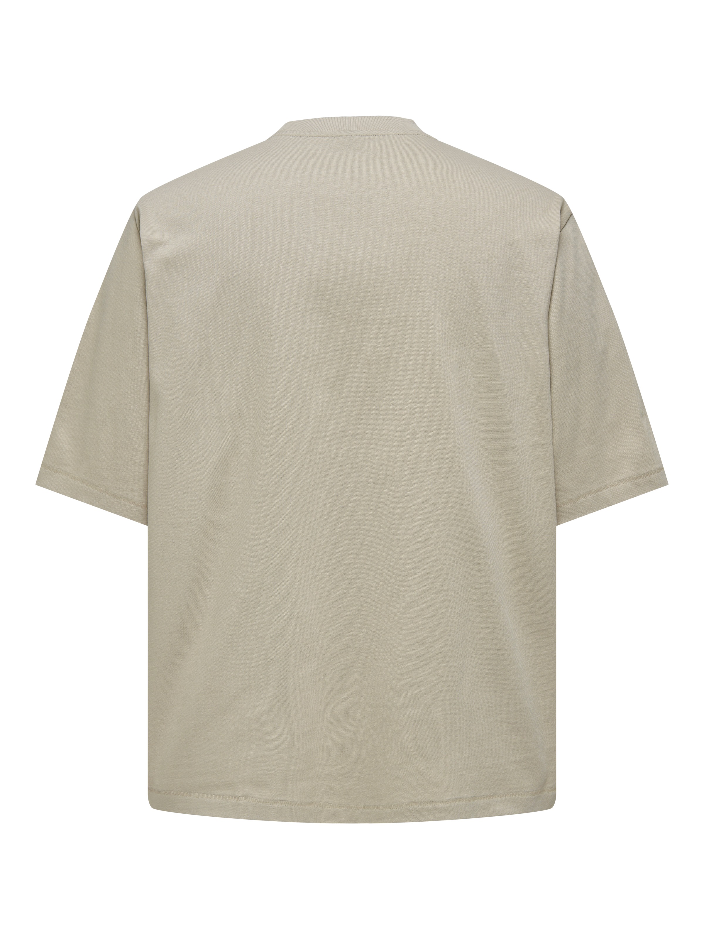 ONLY & SONS Rundhalsshirt »ONSMILLENIUM OVZ SS TEE NOOS«