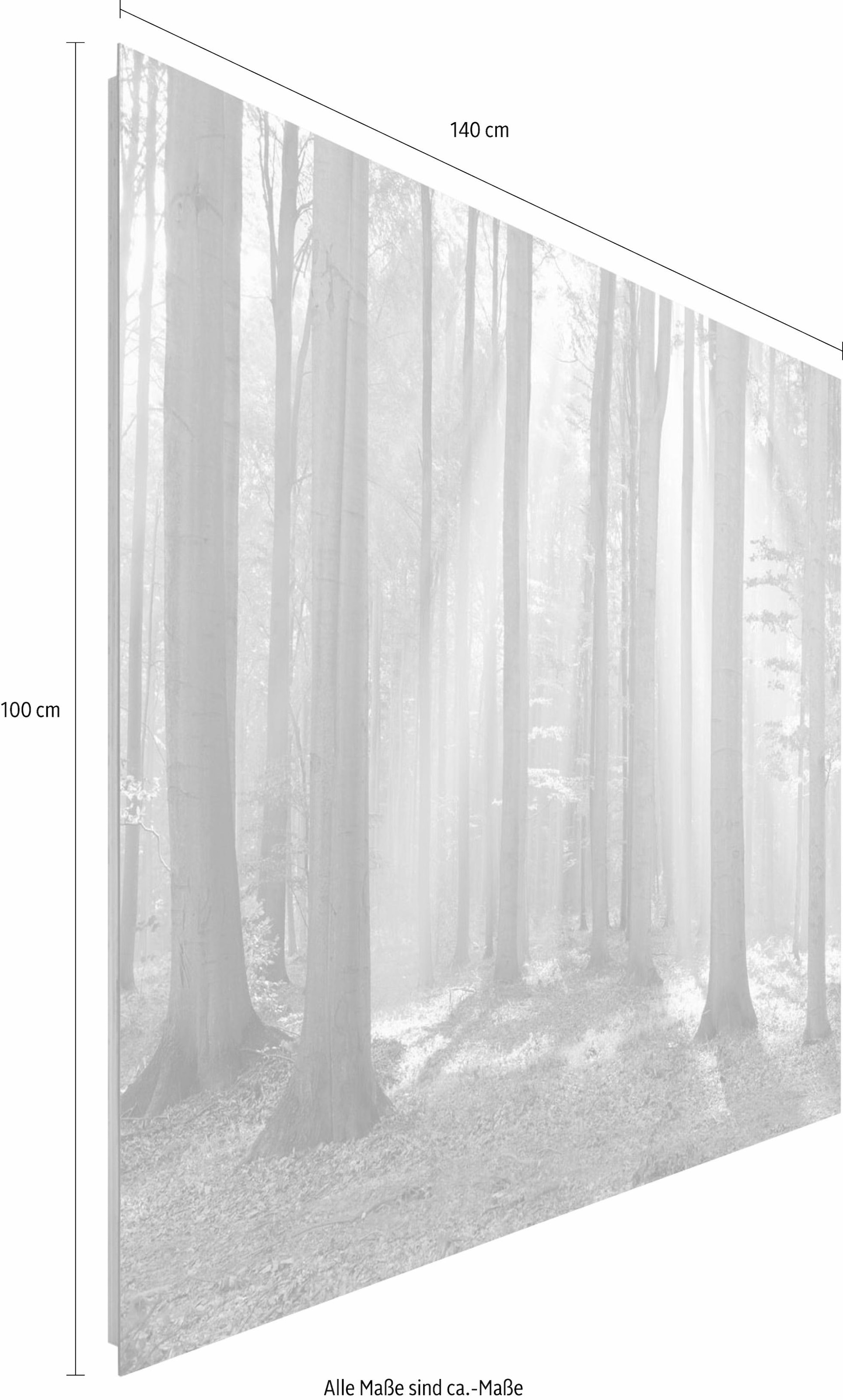 ❤ Reinders! Deco-Panel »Wald im Jelmoli-Online Sonnenlicht«, Shop 140/100 im cm kaufen