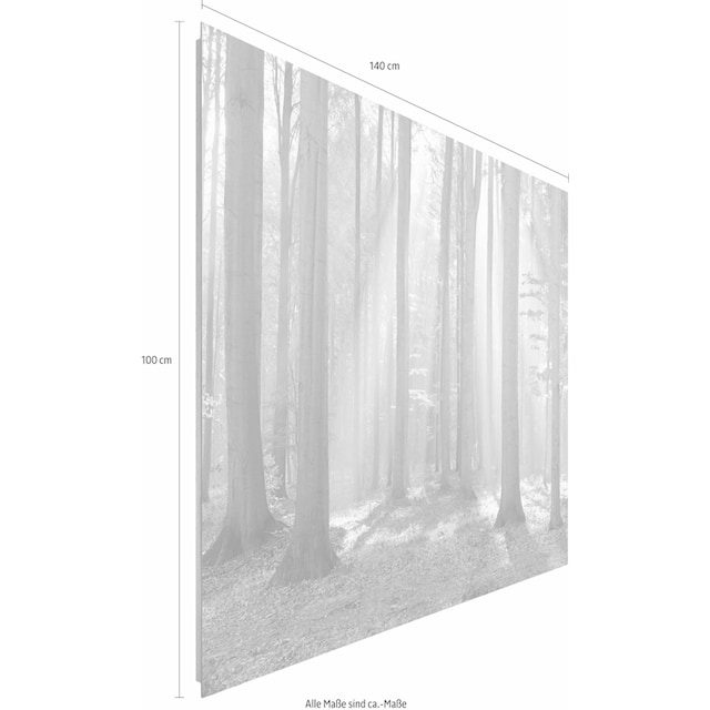 ❤ Reinders! Deco-Panel »Wald im Sonnenlicht«, 140/100 cm kaufen im  Jelmoli-Online Shop