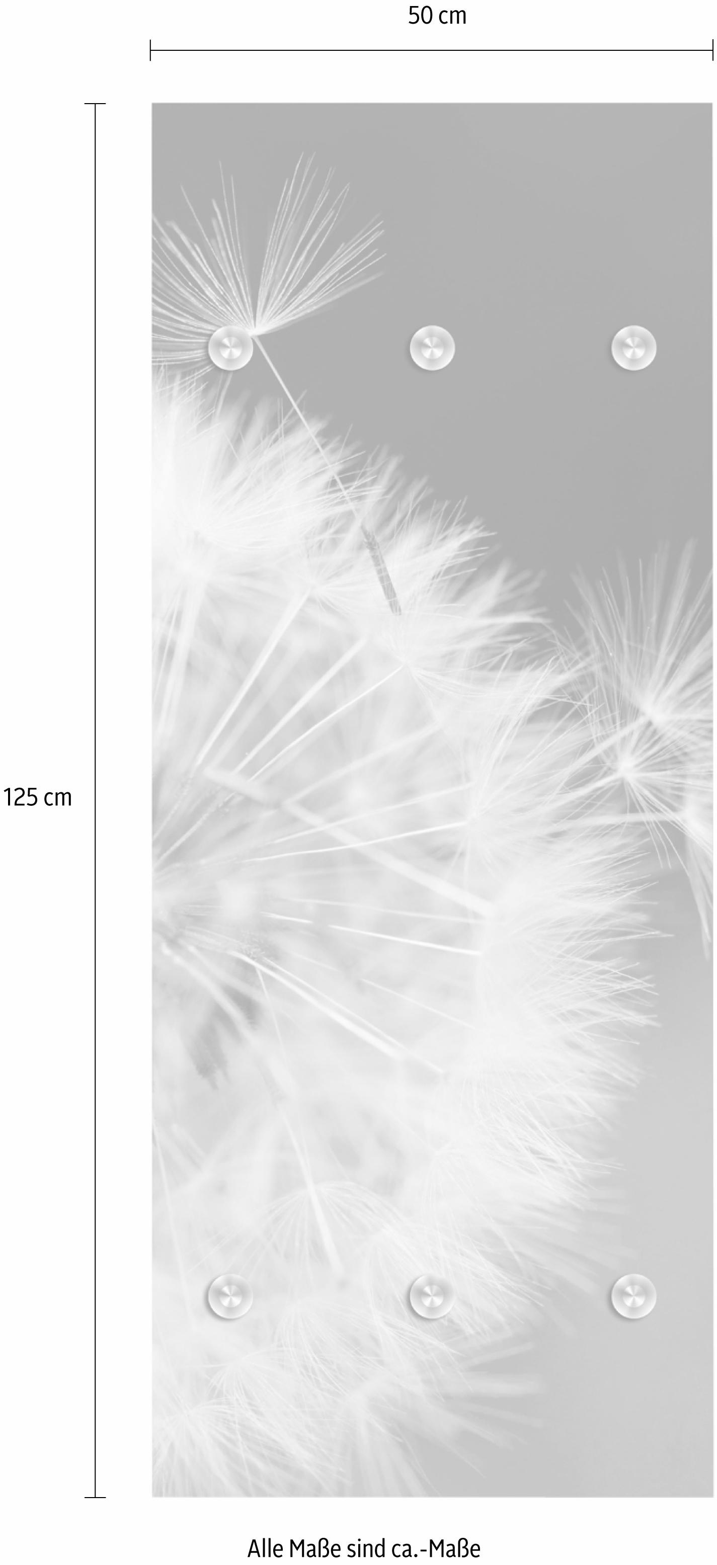 queence Garderobenleiste »Pusteblume in gross«, mit 6 Haken, 50 x 120 cm