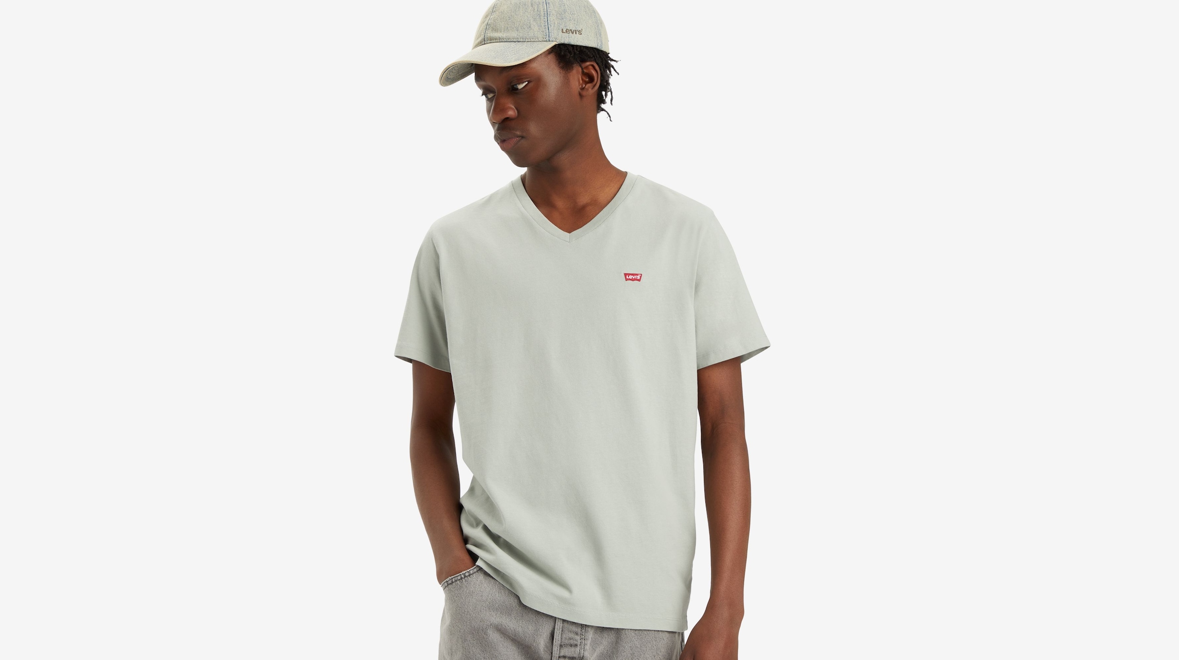 Levi's® V-Shirt »LE ORIGINAL HM VNECK«, mit Logostickerei