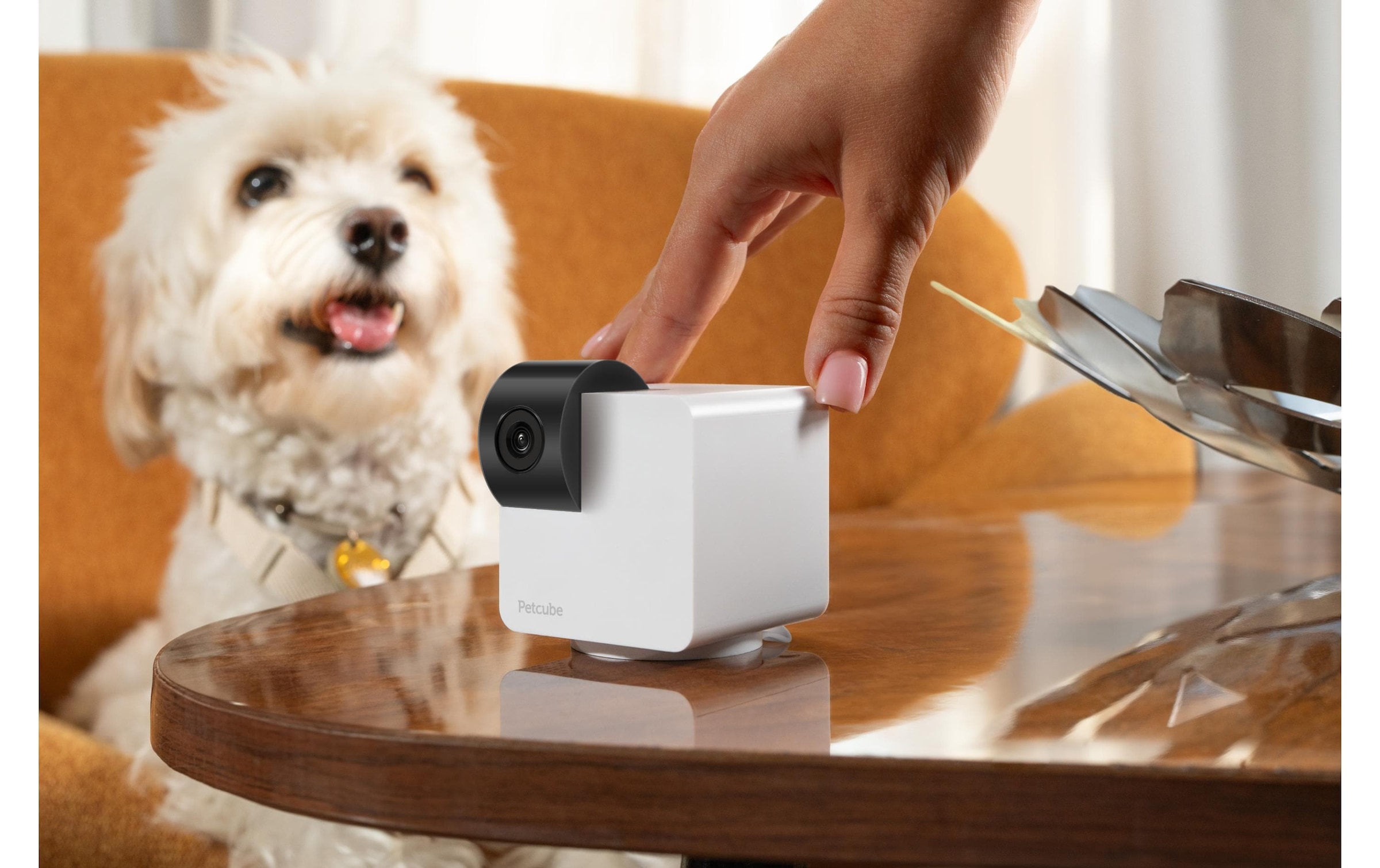 Petcube Überwachungskamera »360 Cam«