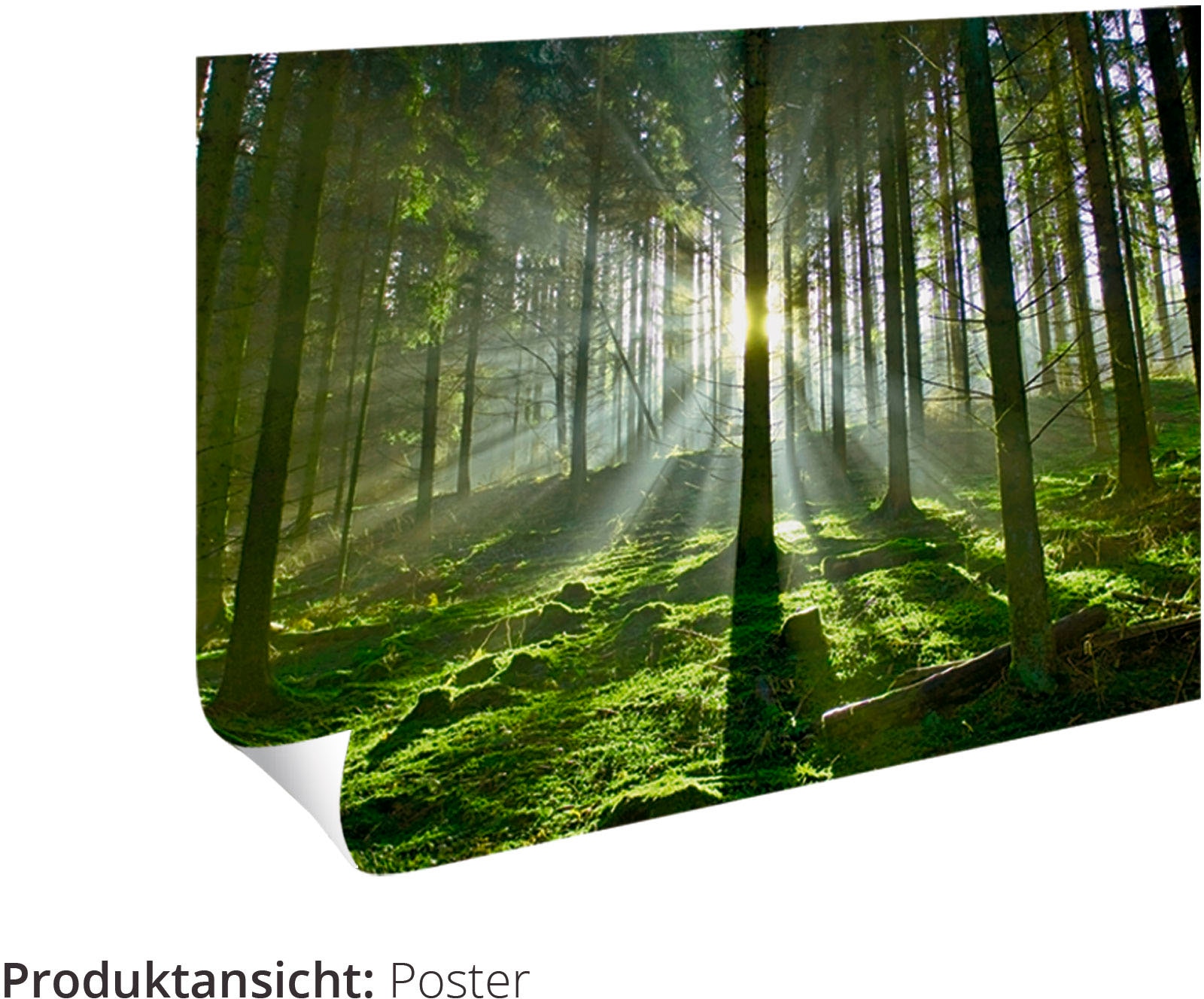 Artland Wandbild »Frühling in Giverny.«, Wiesen & Bäume, (1 St.), als Leinwandbild, Poster in verschied. Grössen