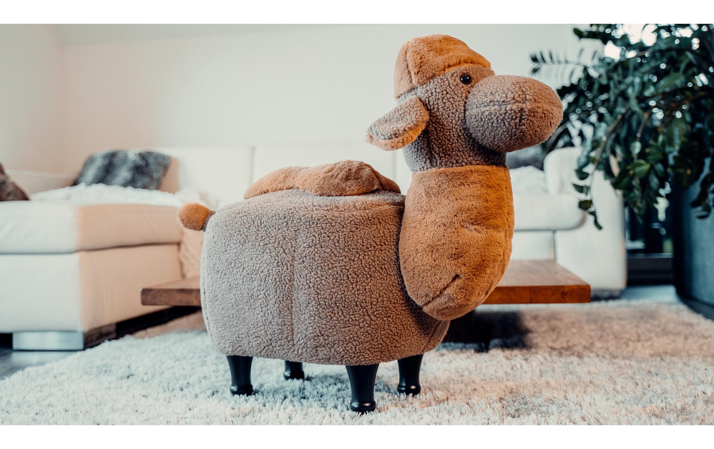 Hocker »zoosy Kamel Gustav Bra«