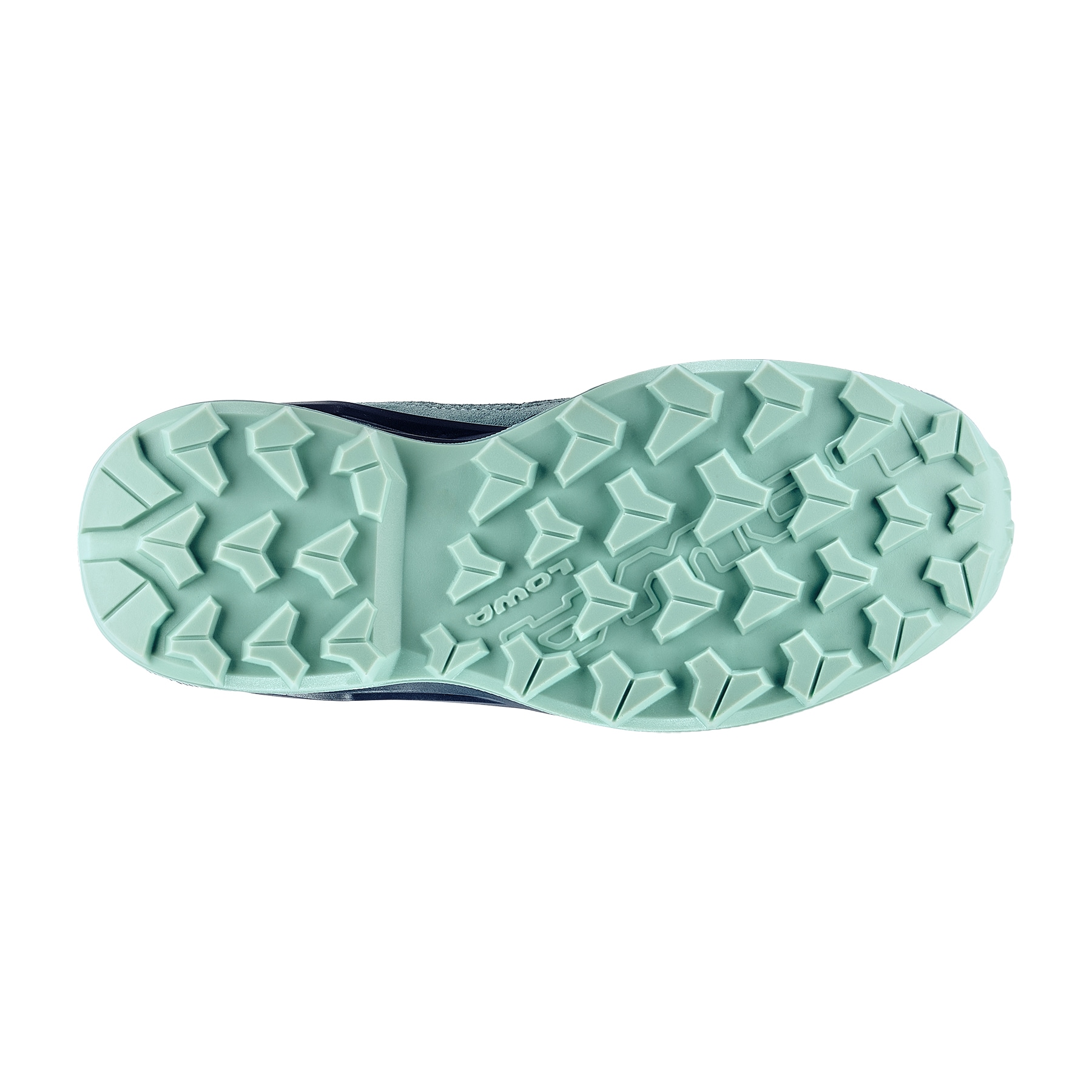 Lowa Wanderschuh »MADDOX PRO GORE-TEX LO JR«, wasserdicht