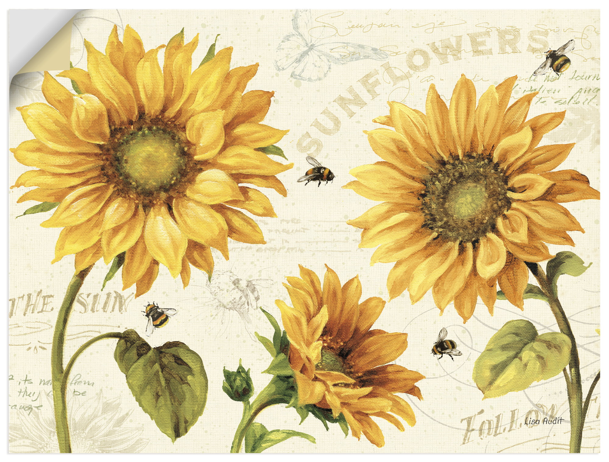 Artland Wandbild "Under the Sun III" 1 Stk. tlg. als Alubild, Leinwandbild, Poster, Wandaufkleber in verschied. Grössen