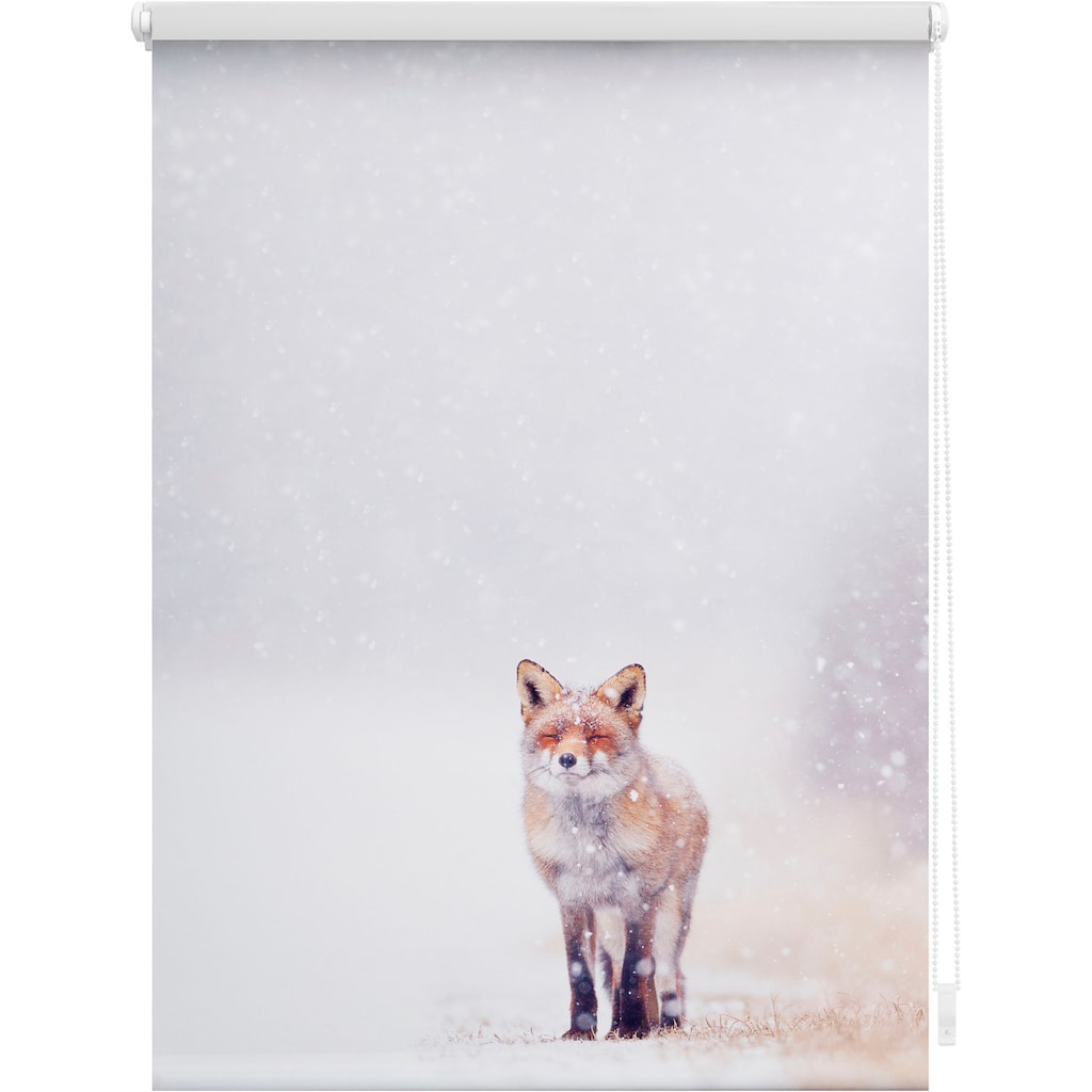 LICHTBLICK ORIGINAL Seitenzugrollo »Klemmfix Motiv Fuchs im Schnee«, Lichtschutz, ohne Bohren, freihängend