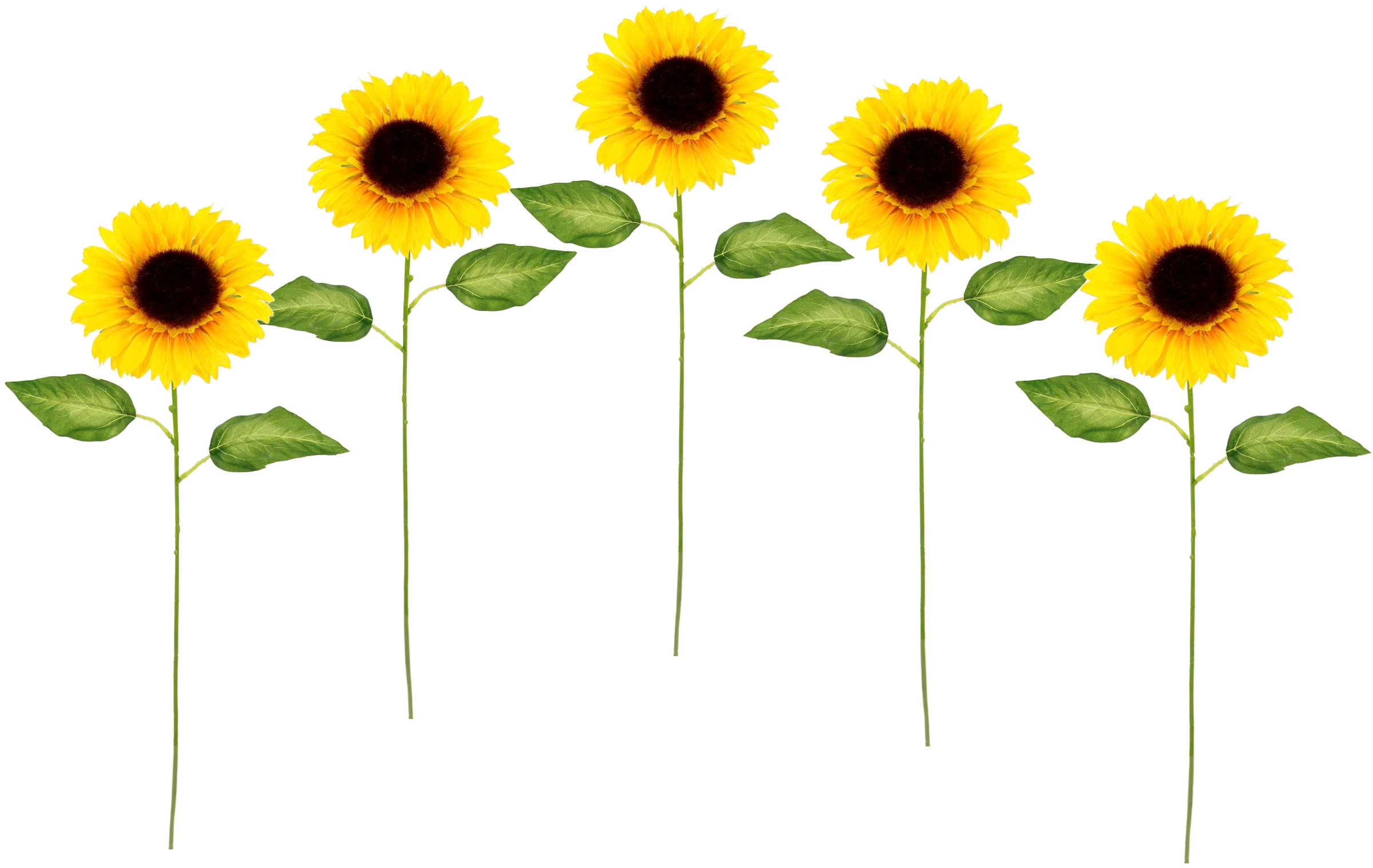 I.GE.A. Kunstblume »Sonnenblume«, Einzelblume, bestellen Jelmoli-Versand Set Stielblume, | online 5er