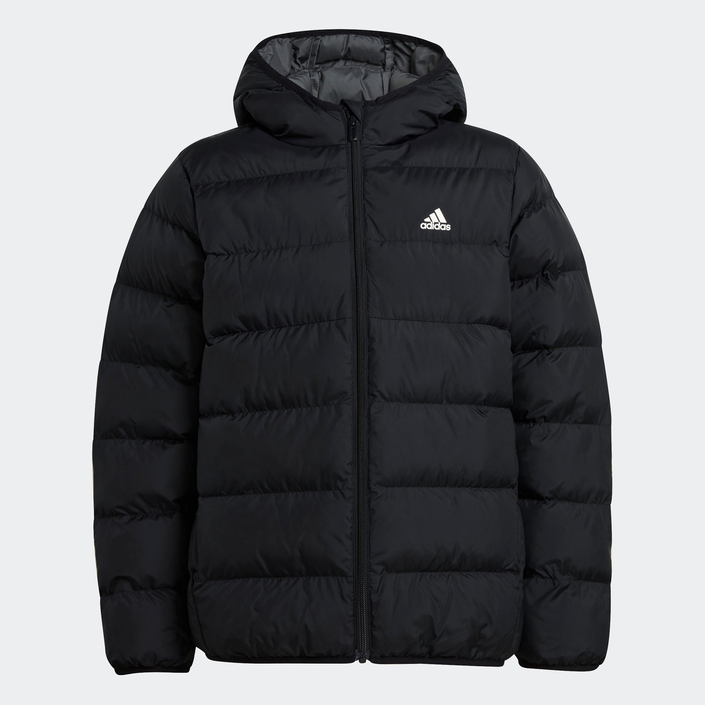 adidas Sportswear Winterjacke »J SD JKT«