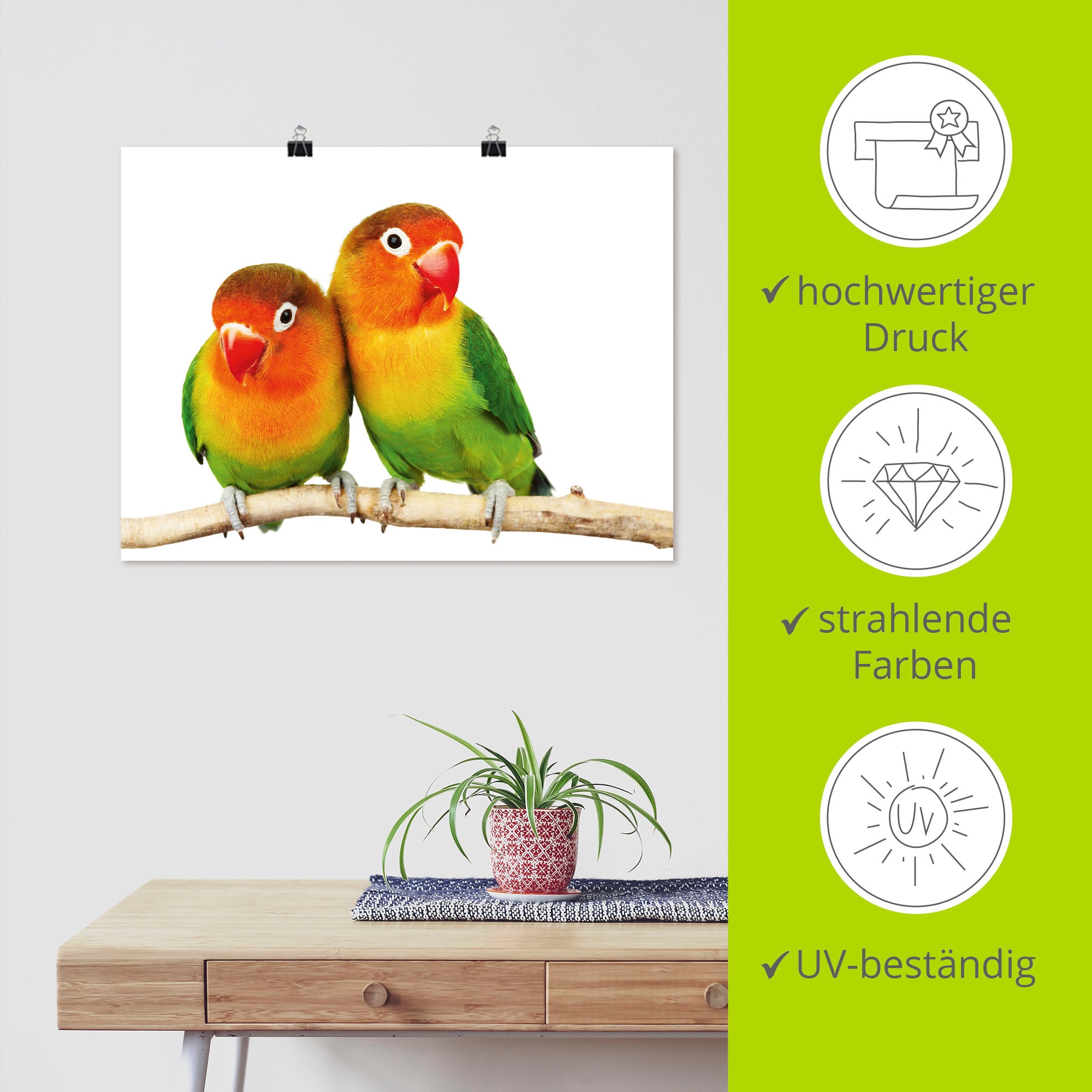 Artland Wandbild »Paar von Grauköpfchen - Papageien«, Vögel, (1 St.), als Leinwandbild, Poster, Wandaufkleber in verschied. Grössen