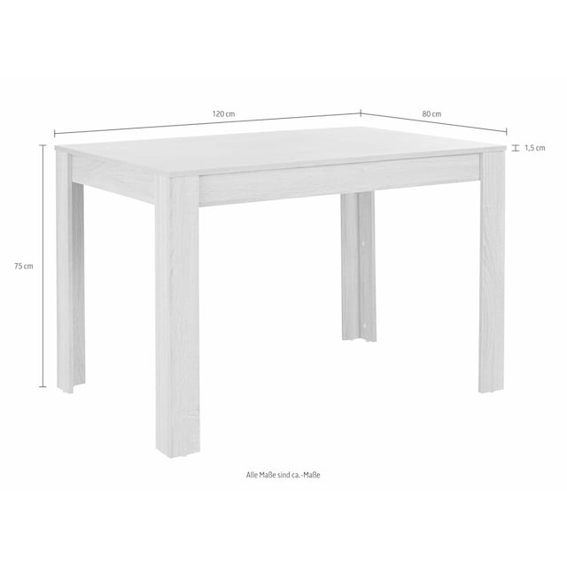 INOSIGN Essgruppe, (Set, 5 tlg.), 4 Stühle mit Tisch in schieferfarben,  Breite 120 cm online bestellen | Jelmoli-Versand